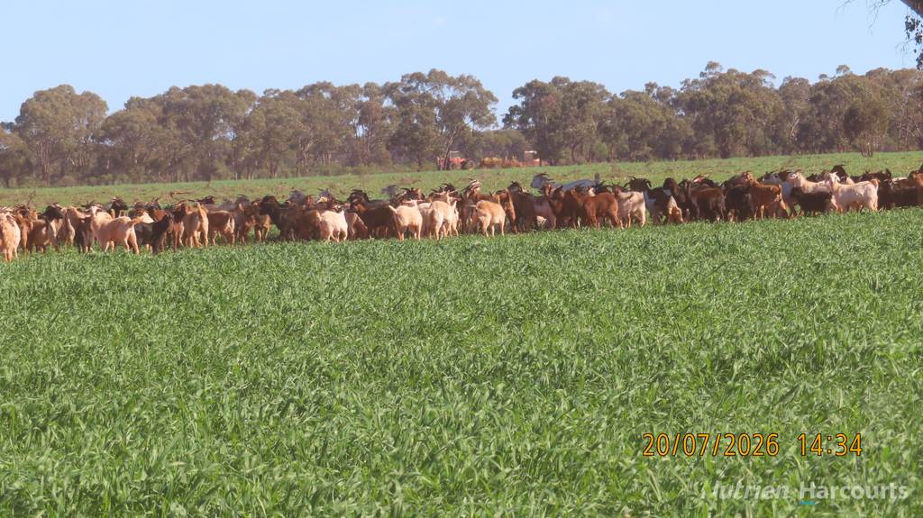 &ast; Gilgunnia Station&comma; 3240 Mulya Road, Cobar NSW 2835