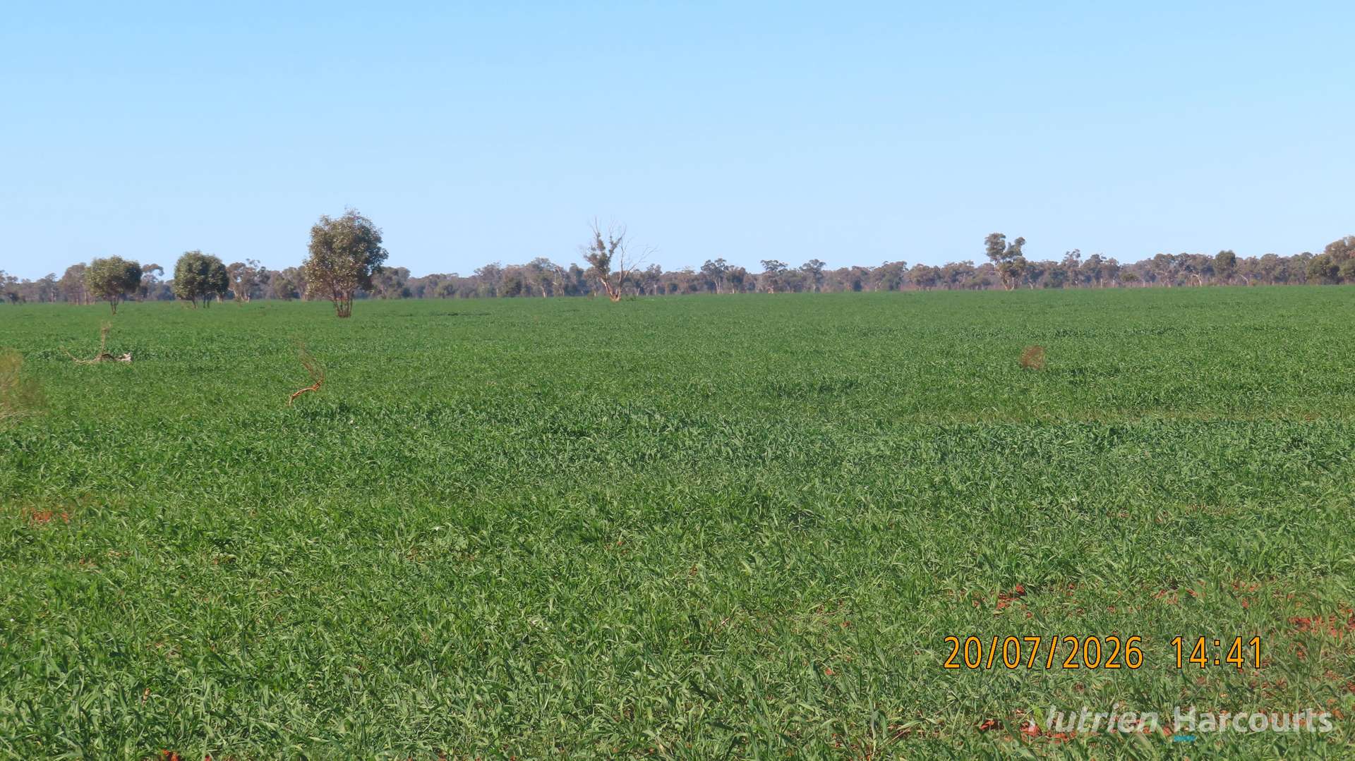 * Gilgunnia Station, 3240 Mulya Road, Cobar For Sale by Farmbuy.com - image 12