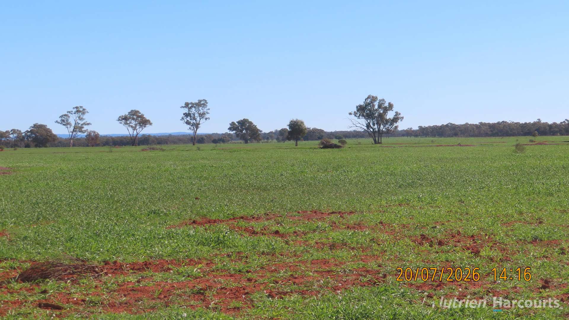 * Gilgunnia Station, 3240 Mulya Road, Cobar For Sale by Farmbuy.com - image 3