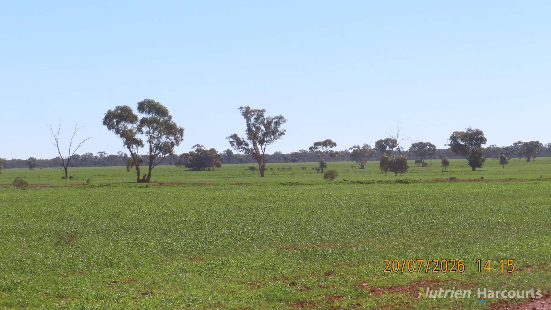 * Gilgunnia Station, 3240 Mulya Road, Cobar For Sale by Farmbuy.com - image 2