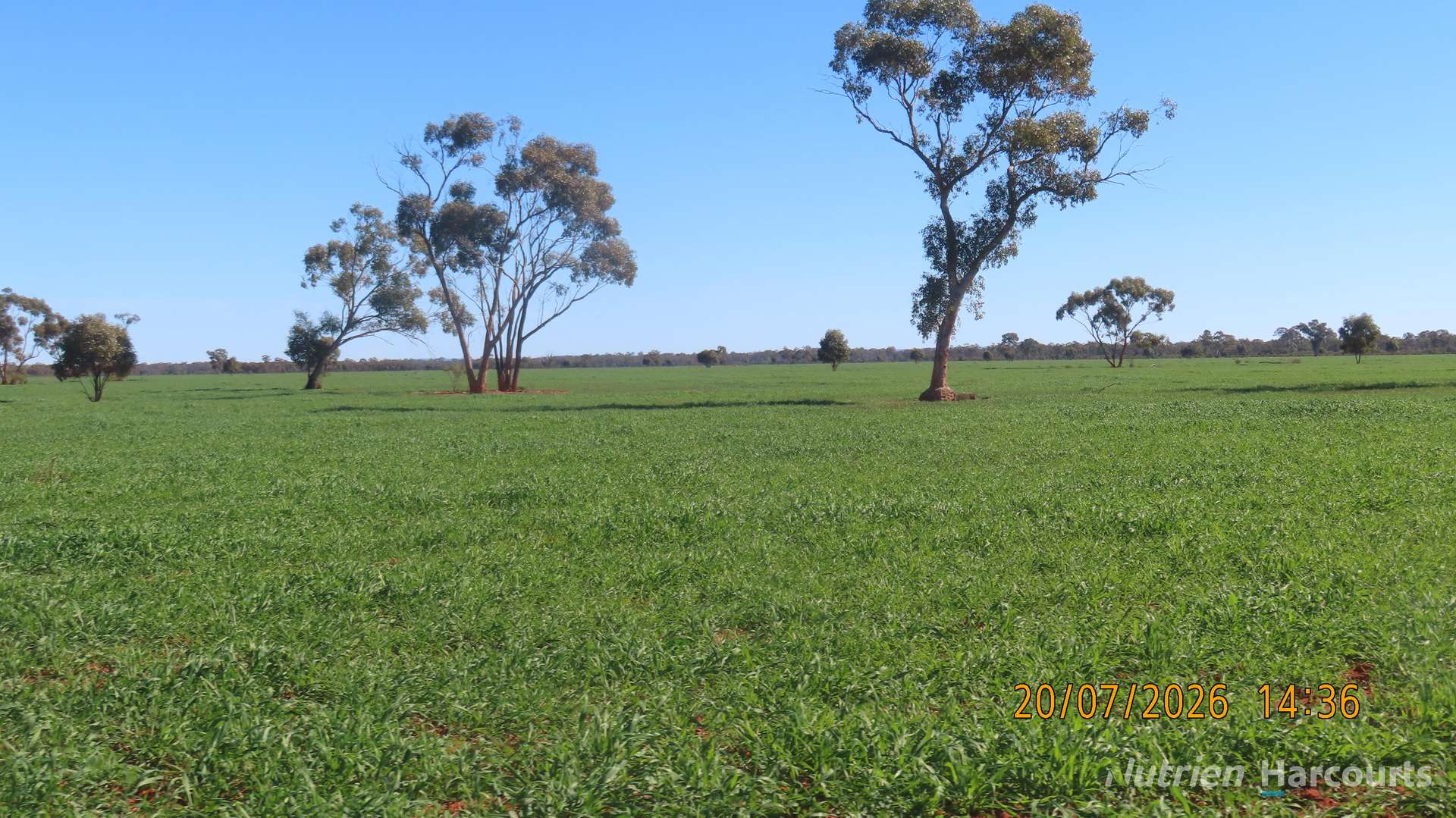 * Gilgunnia Station, 3240 Mulya Road, Cobar For Sale by Farmbuy.com - image 11