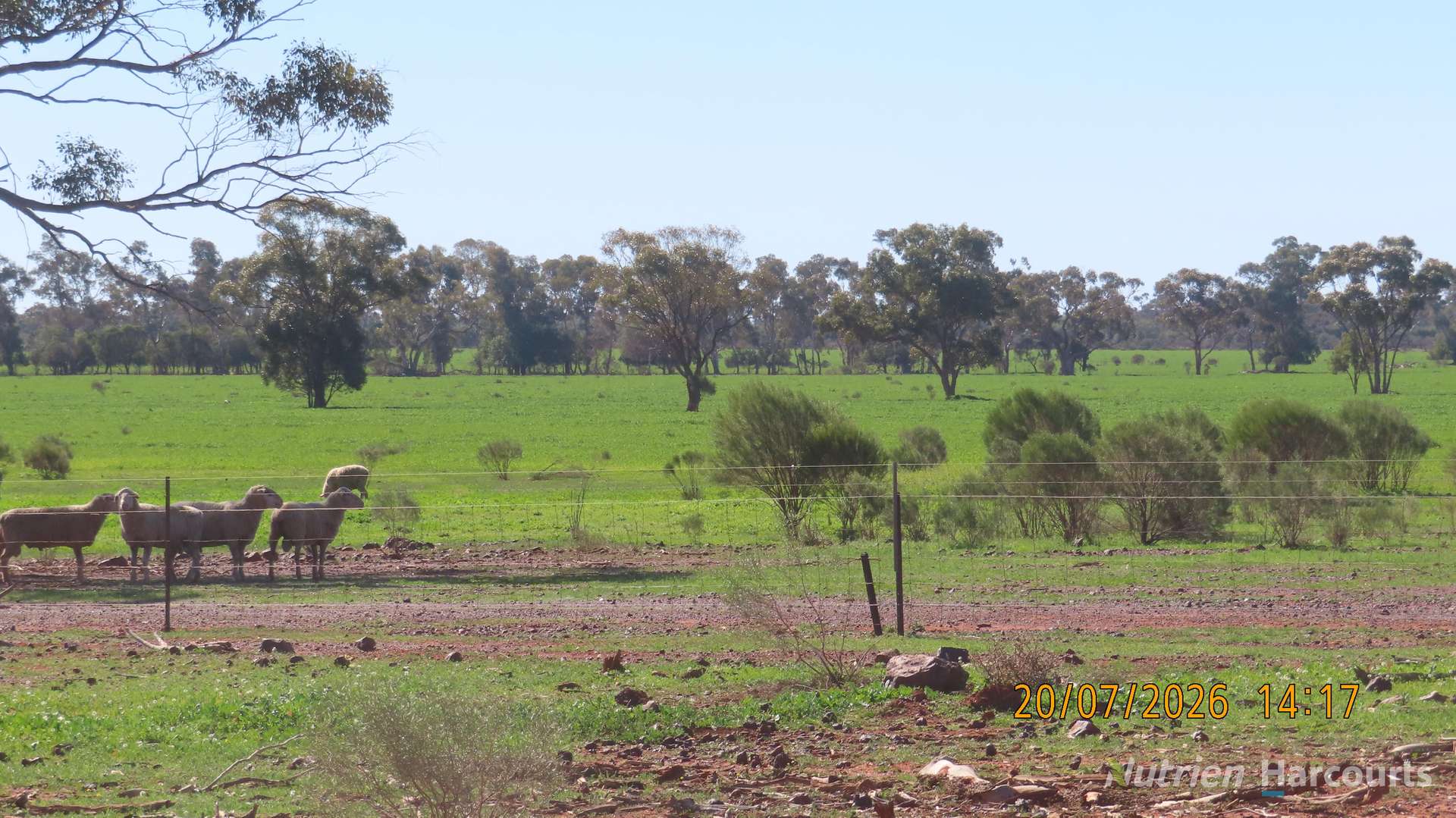 * Gilgunnia Station, 3240 Mulya Road, Cobar For Sale by Farmbuy.com - image 6