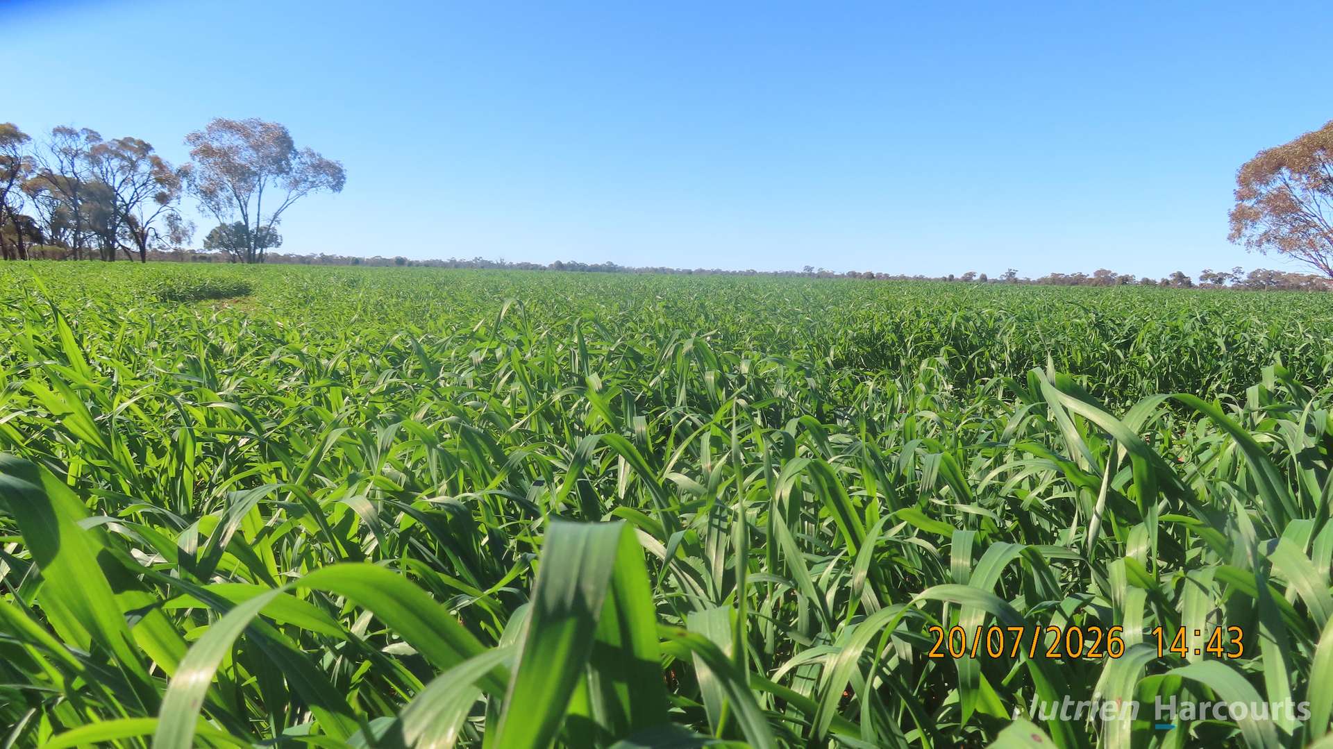 * Gilgunnia Station, 3240 Mulya Road, Cobar For Sale by Farmbuy.com - image 14