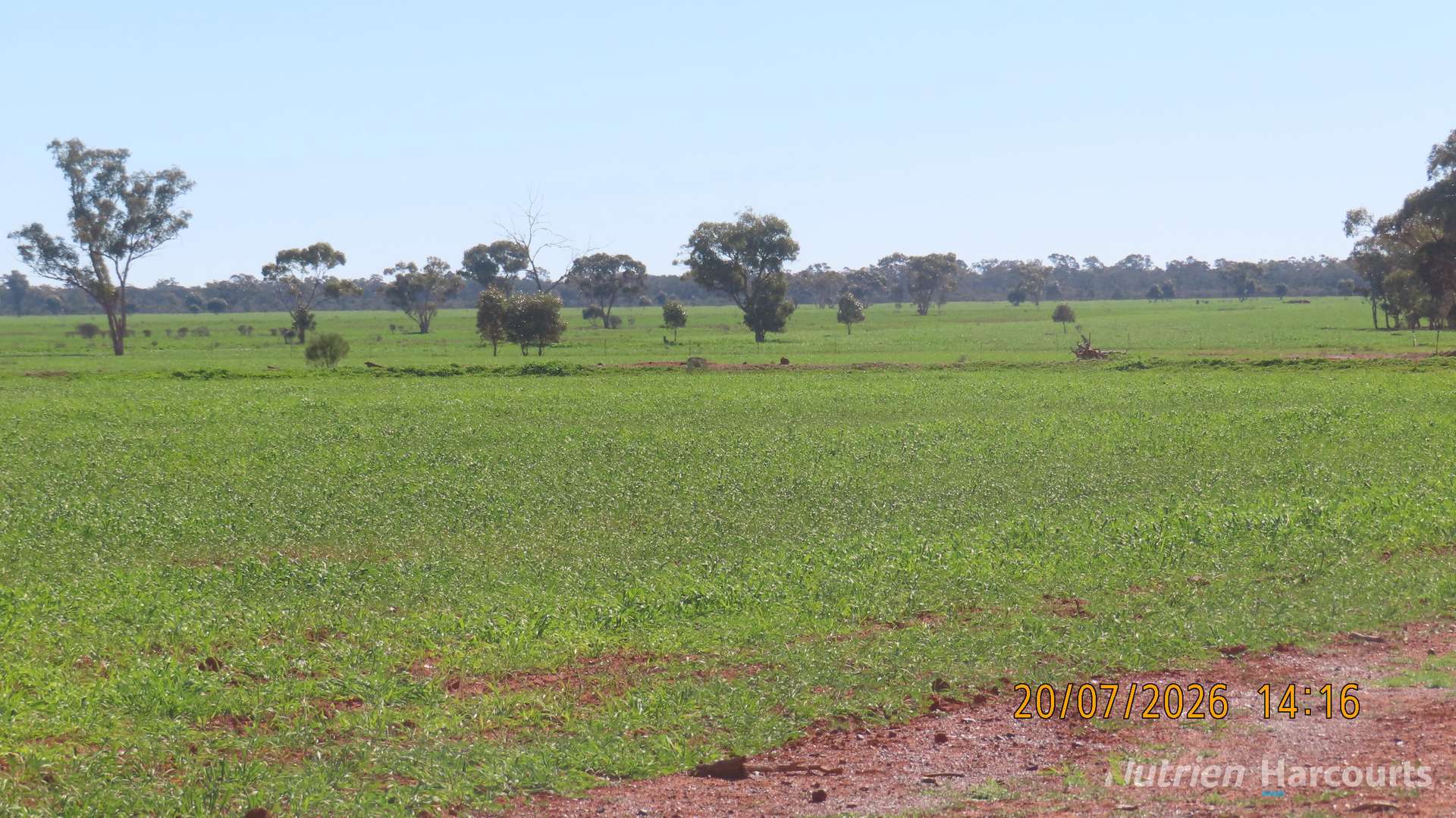 * Gilgunnia Station, 3240 Mulya Road, Cobar For Sale by Farmbuy.com - image 4