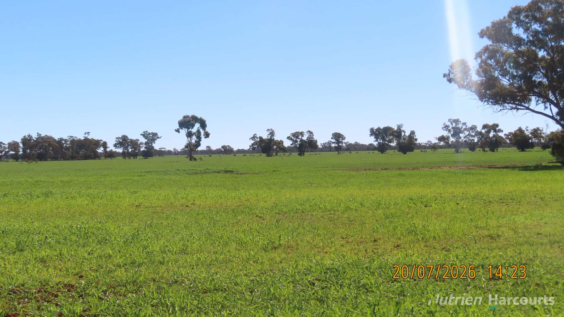* Gilgunnia Station, 3240 Mulya Road, Cobar For Sale by Farmbuy.com - image 7