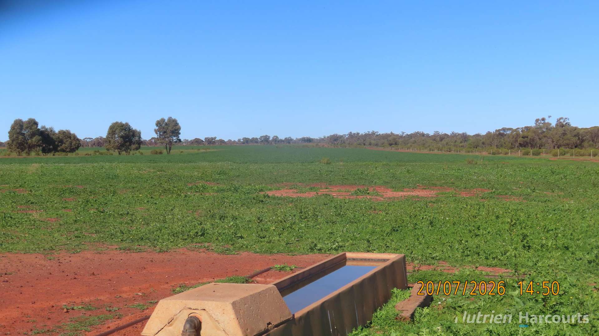* Gilgunnia Station, 3240 Mulya Road, Cobar For Sale by Farmbuy.com - image 16