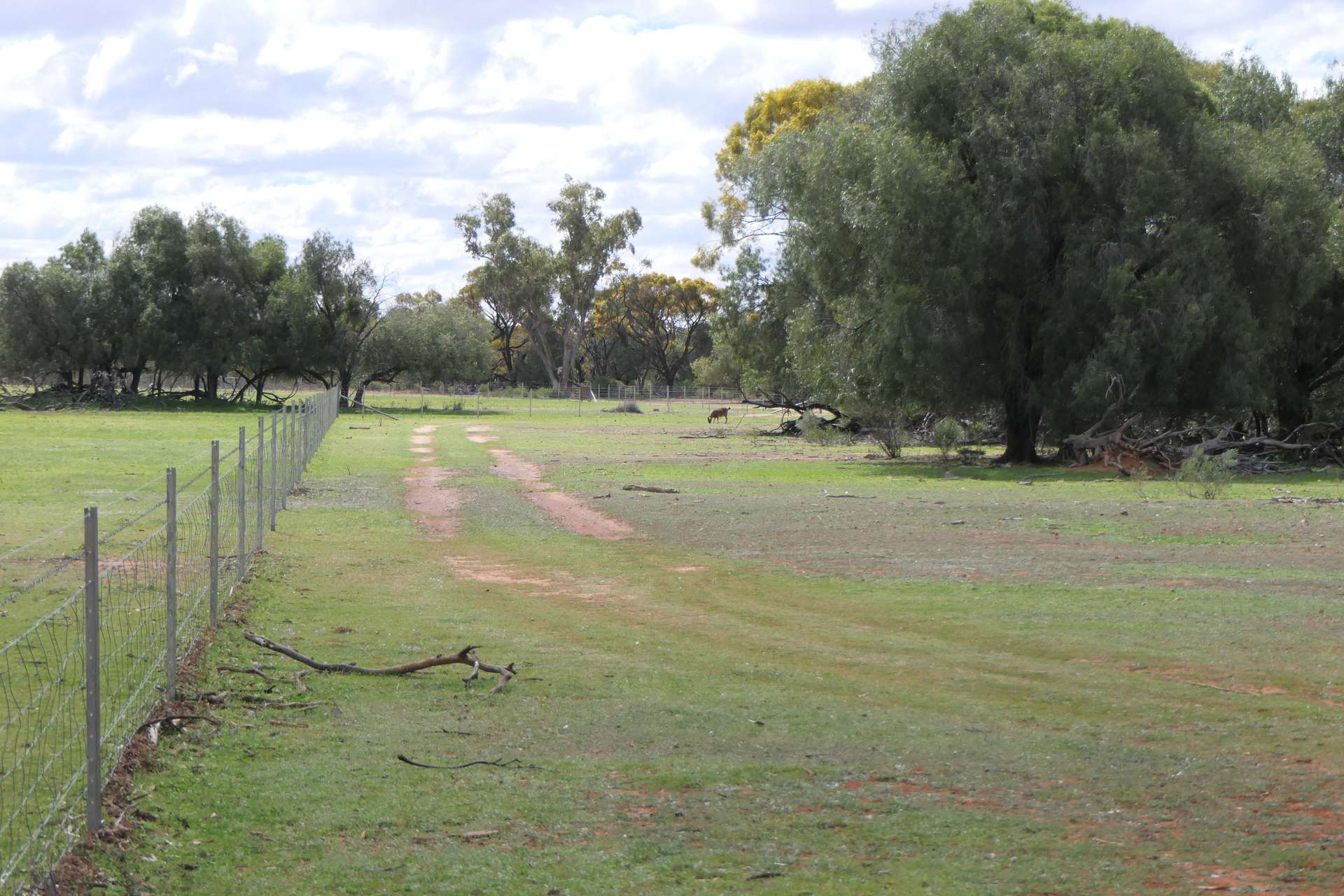 * Gilgunnia Station, 3240 Mulya Road, Cobar For Sale by Farmbuy.com - image 11