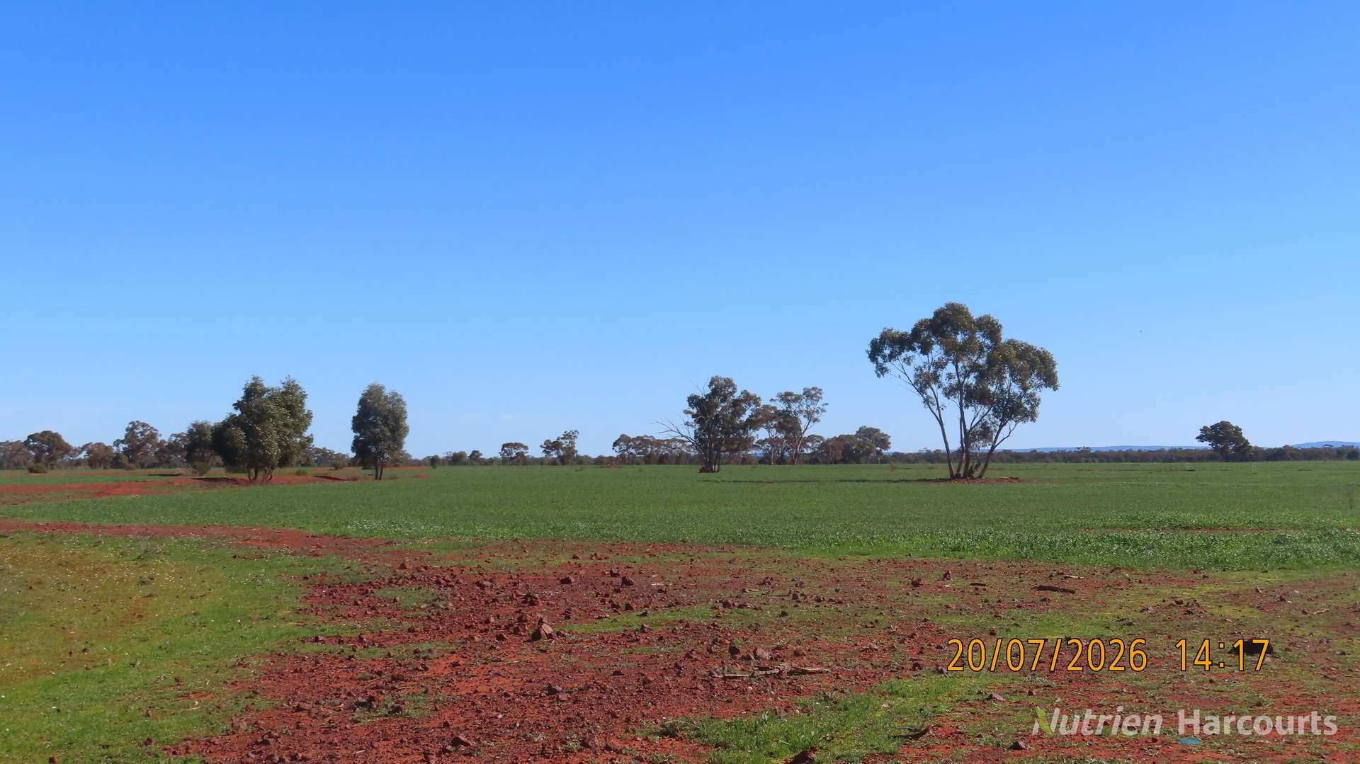 * Gilgunnia Station, 3240 Mulya Road, Cobar For Sale by Farmbuy.com - image 5