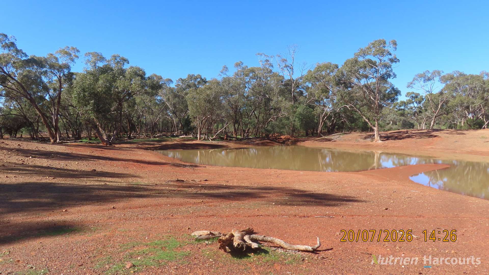 * Gilgunnia Station, 3240 Mulya Road, Cobar For Sale by Farmbuy.com - image 8