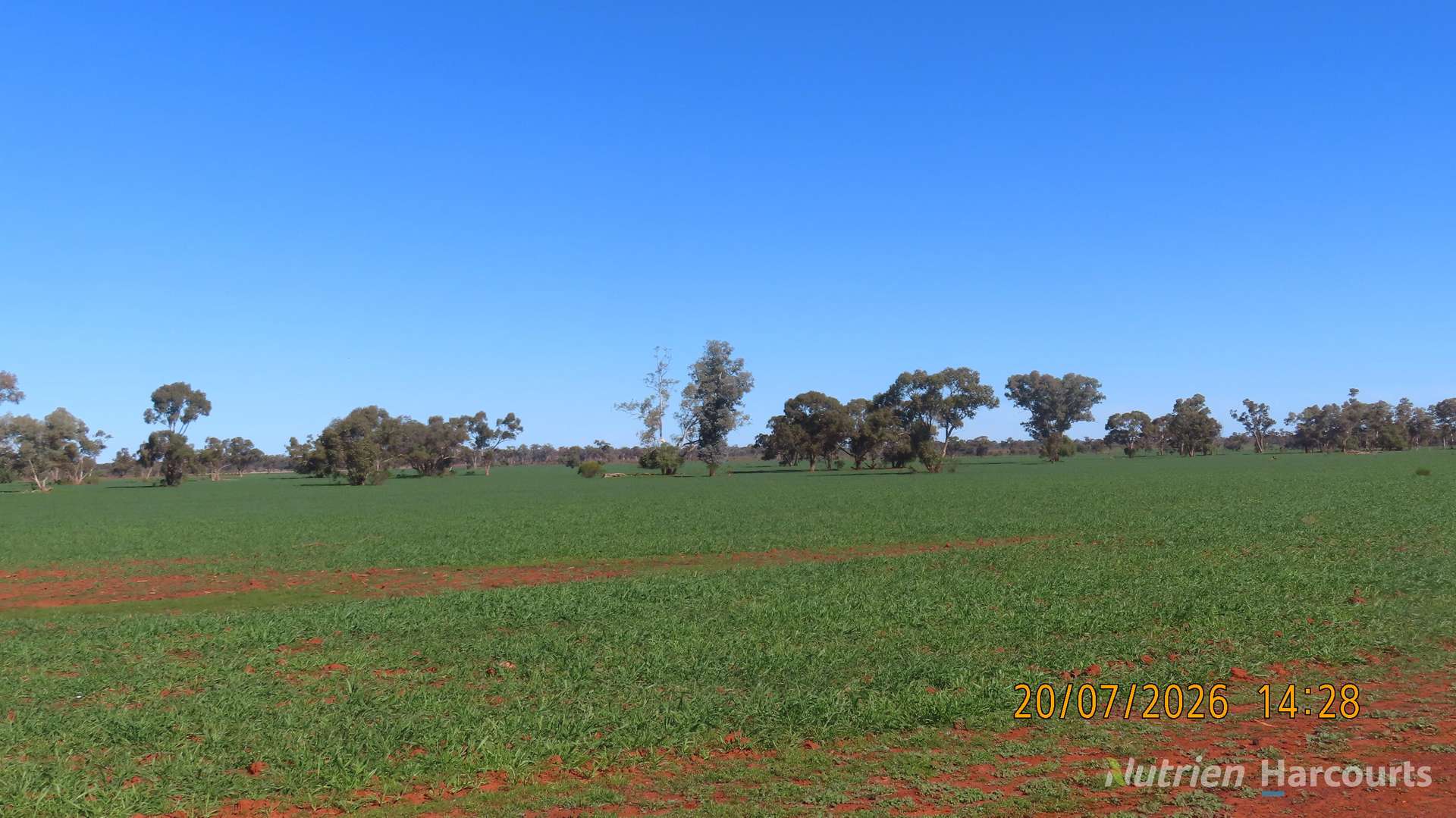 * Gilgunnia Station, 3240 Mulya Road, Cobar For Sale by Farmbuy.com - image 10