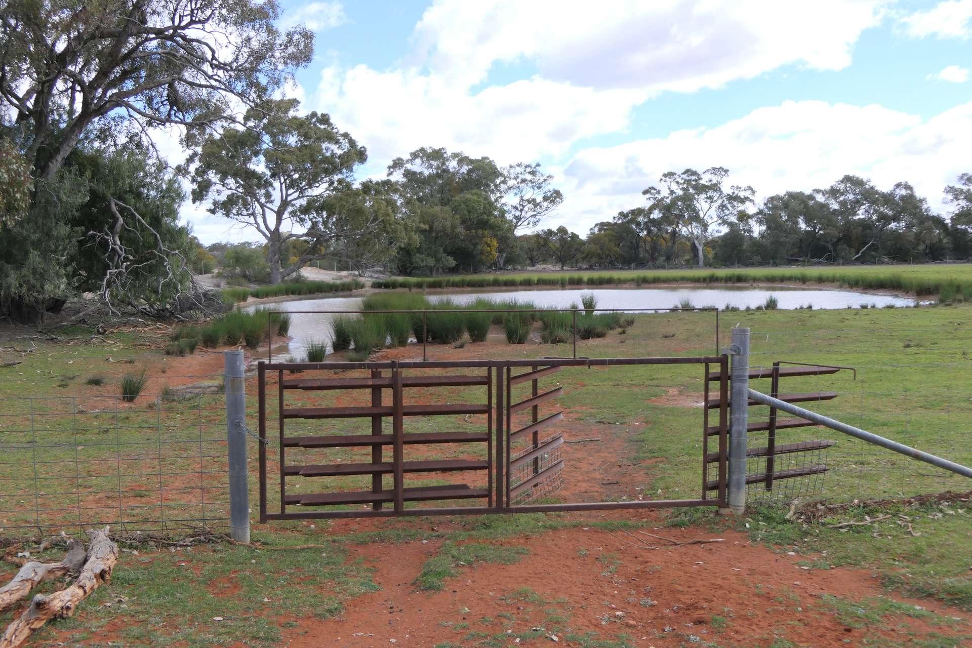 * Gilgunnia Station, 3240 Mulya Road, Cobar For Sale by Farmbuy.com - image 7