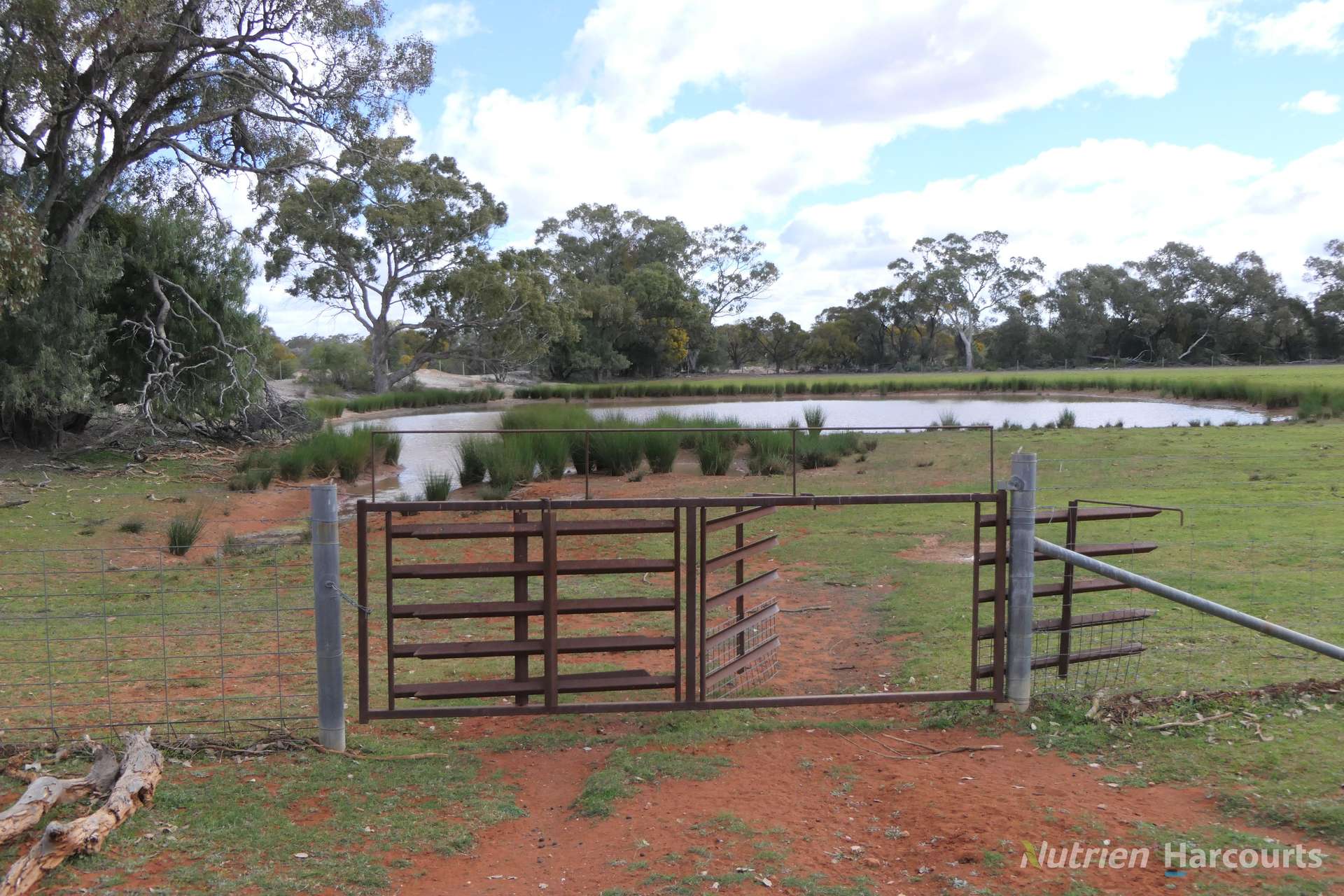 * Gilgunnia Station, 3240 Mulya Road, Cobar For Sale by Farmbuy.com - image 27