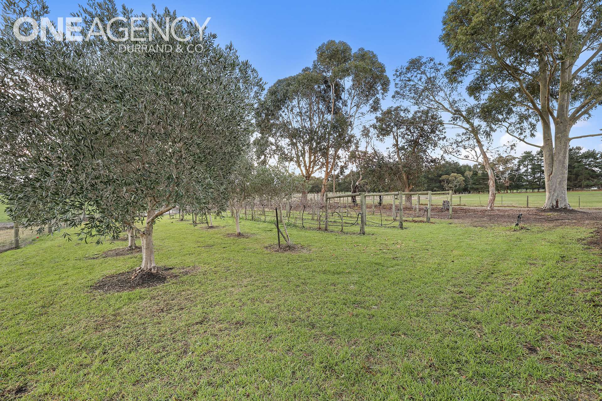 200 Milners Road, Lang Lang For Sale by Farmbuy.com - image 20