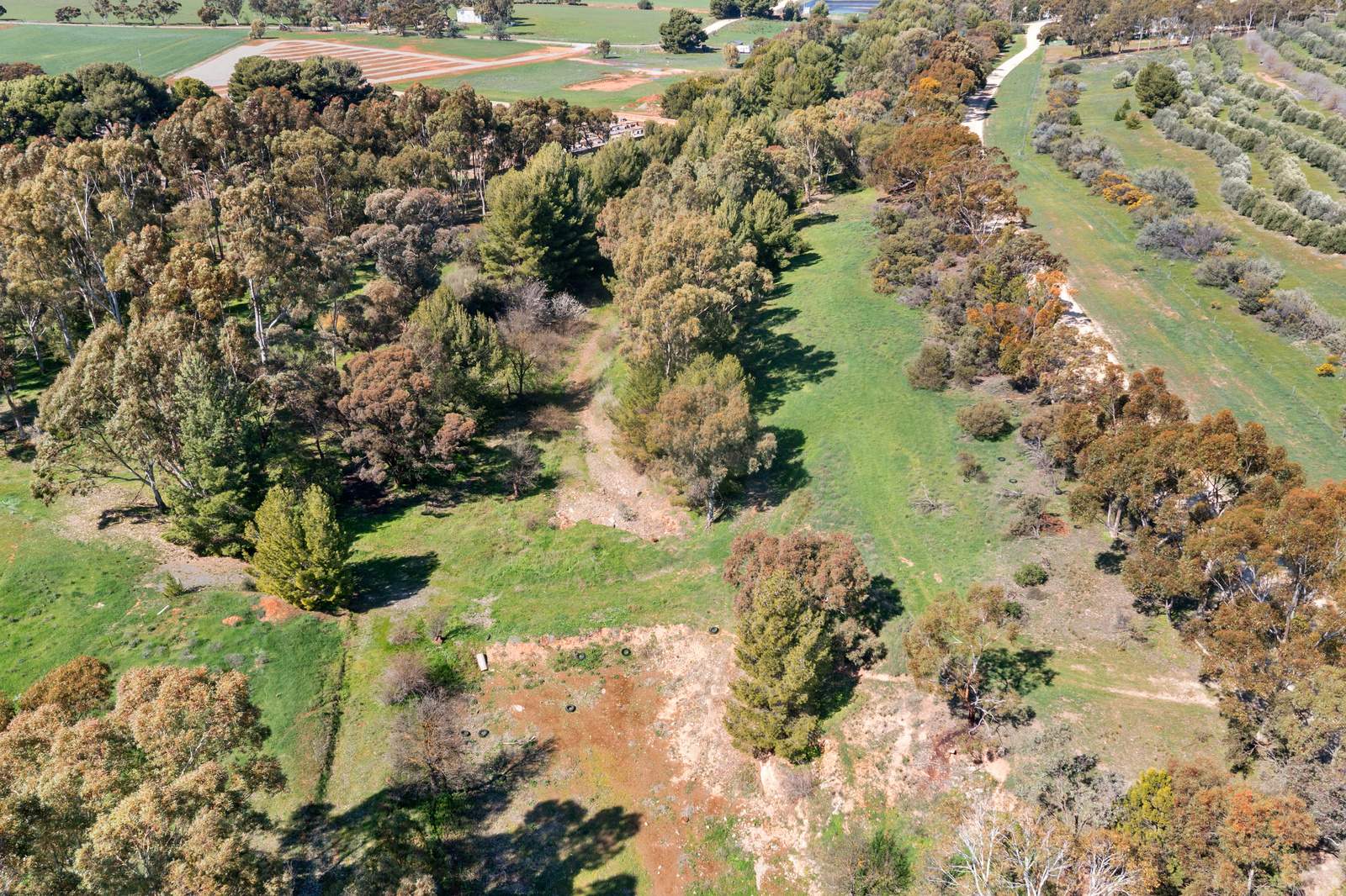 Lot 4 Lower Thames Street, Burra Sold by Farmbuy.com - image 6