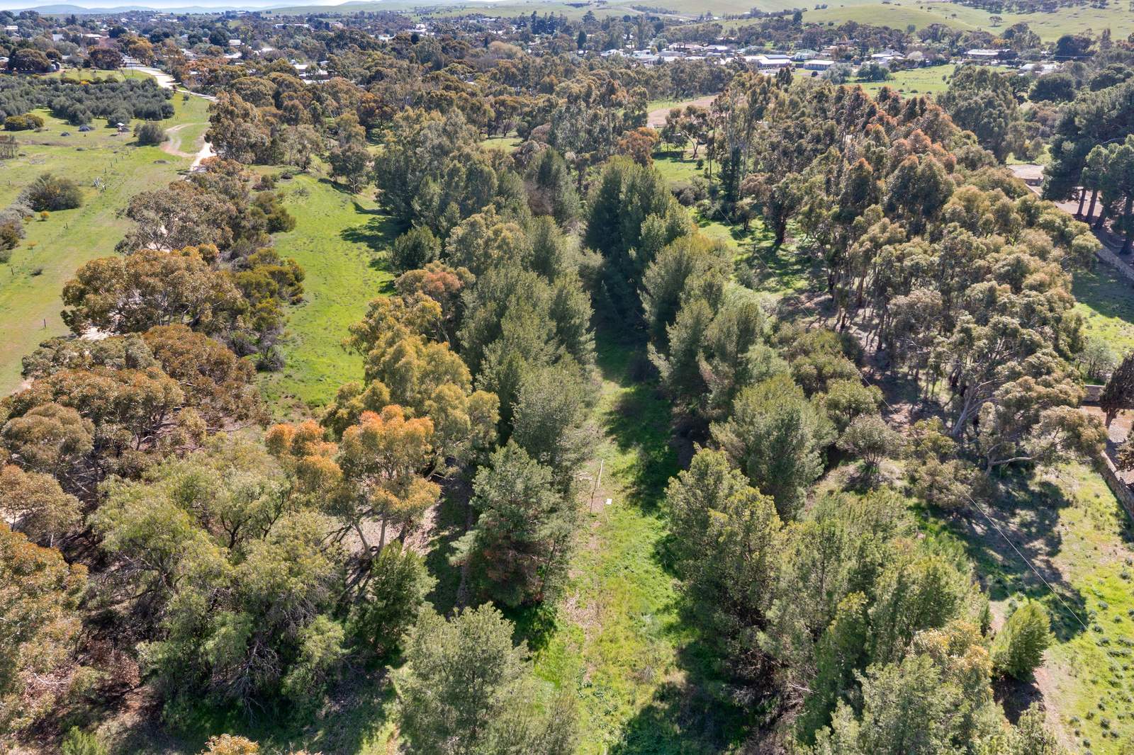 Lot 4 Lower Thames Street, Burra Sold by Farmbuy.com - image 4