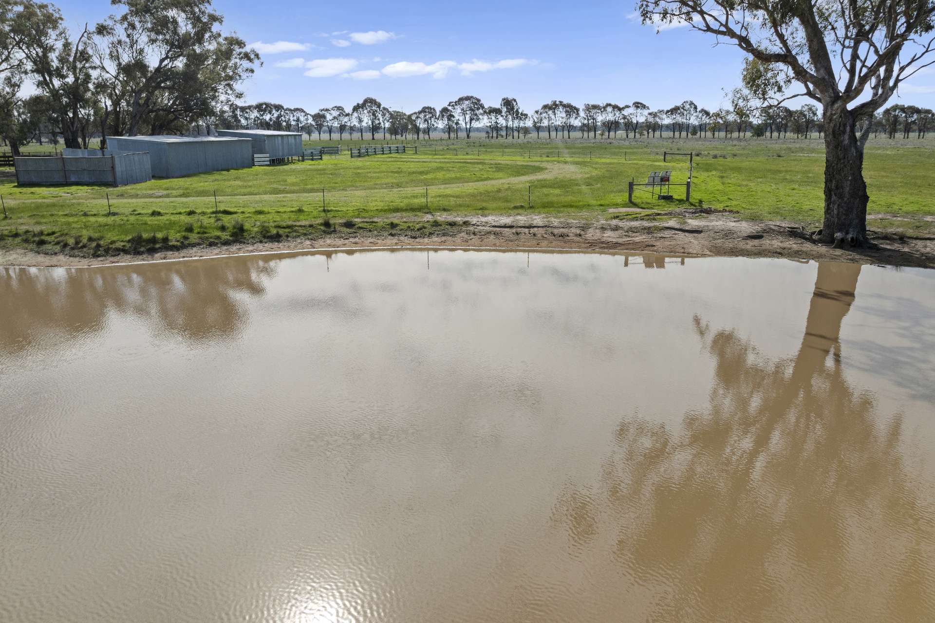 1677 ARCAD Arcadia Two Chain Road, Miepoll Sold by Farmbuy.com - image 5