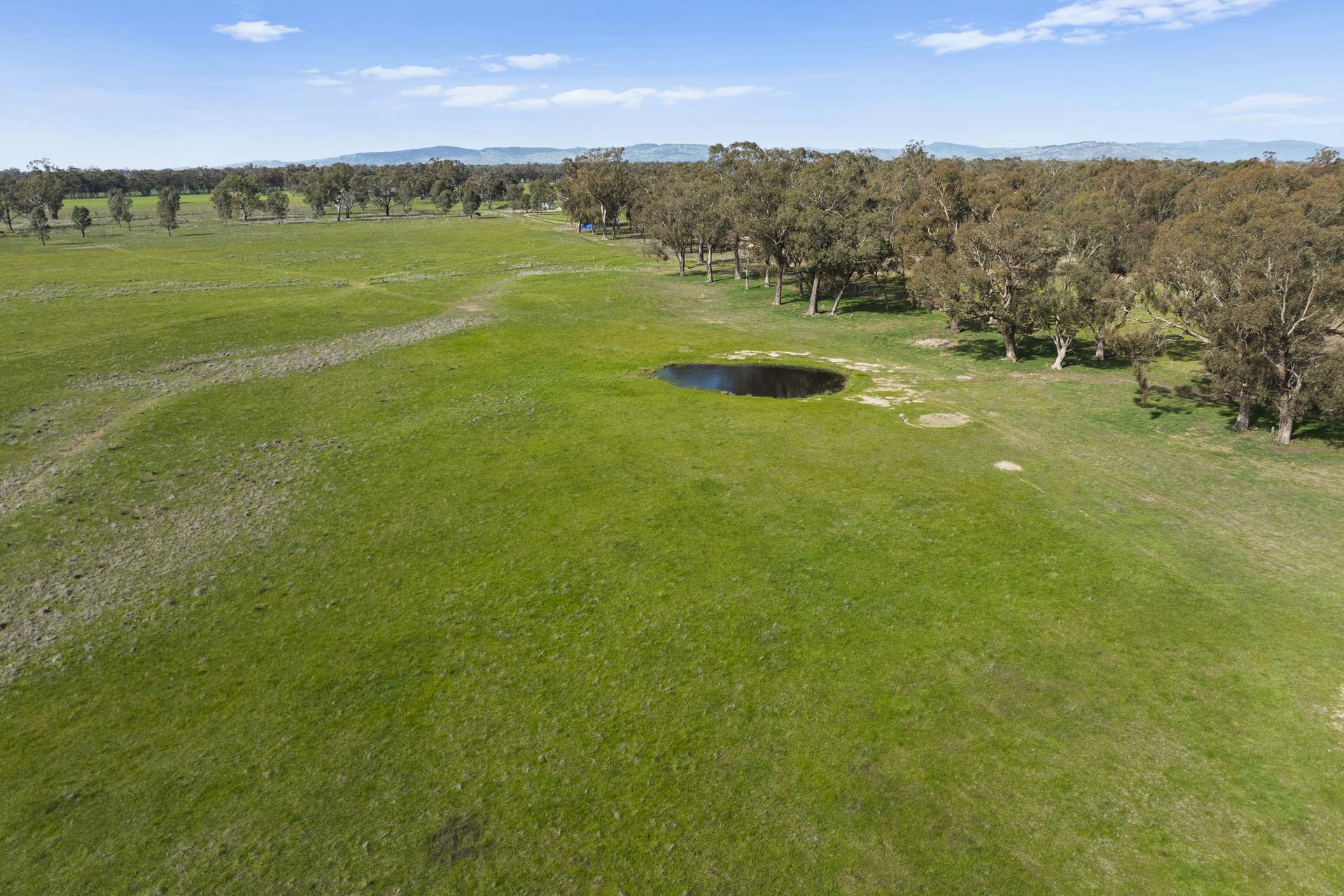 1677 ARCAD Arcadia Two Chain Road, Miepoll Sold by Farmbuy.com - image 10