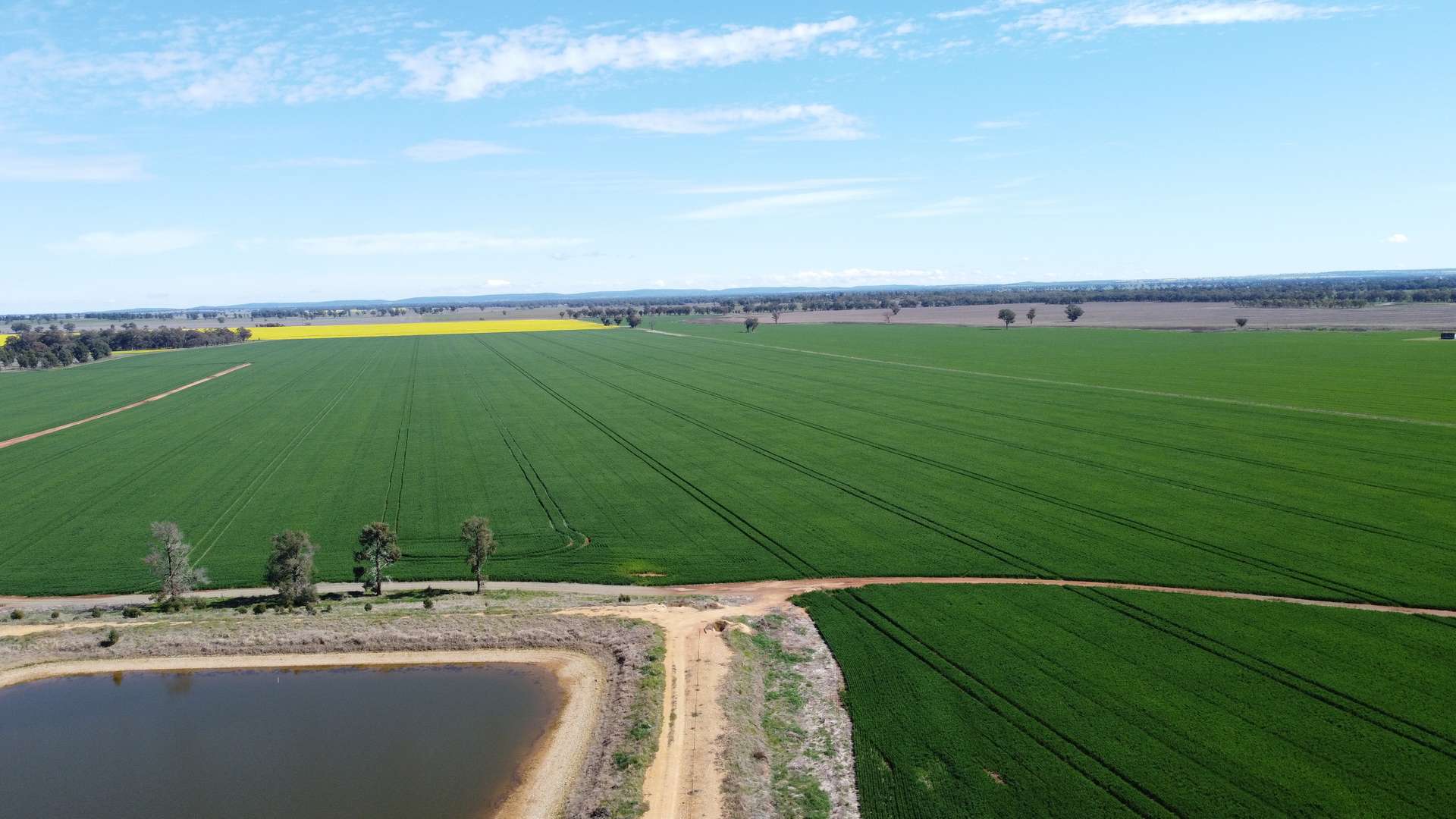 92 Millers Lane, Parkes For Sale by Farmbuy.com - image 3