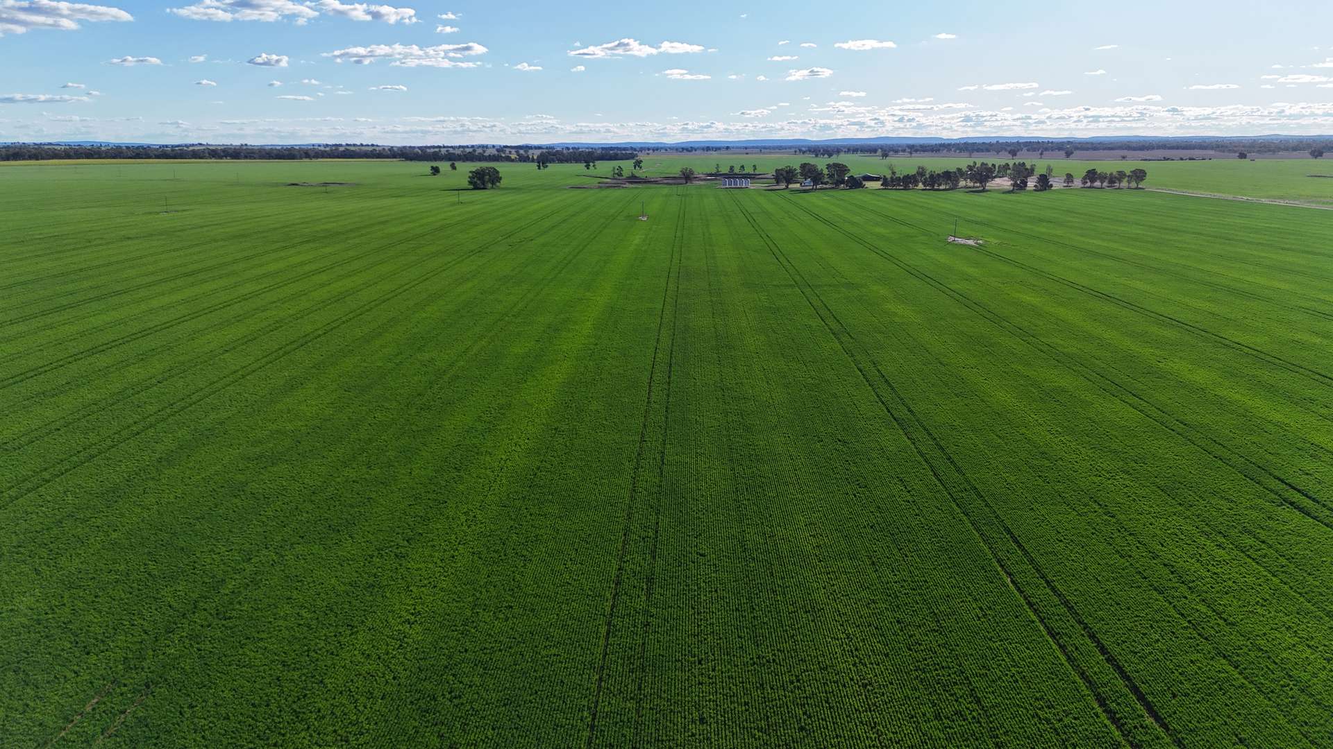 92 Millers Lane, Parkes For Sale by Farmbuy.com - image 6