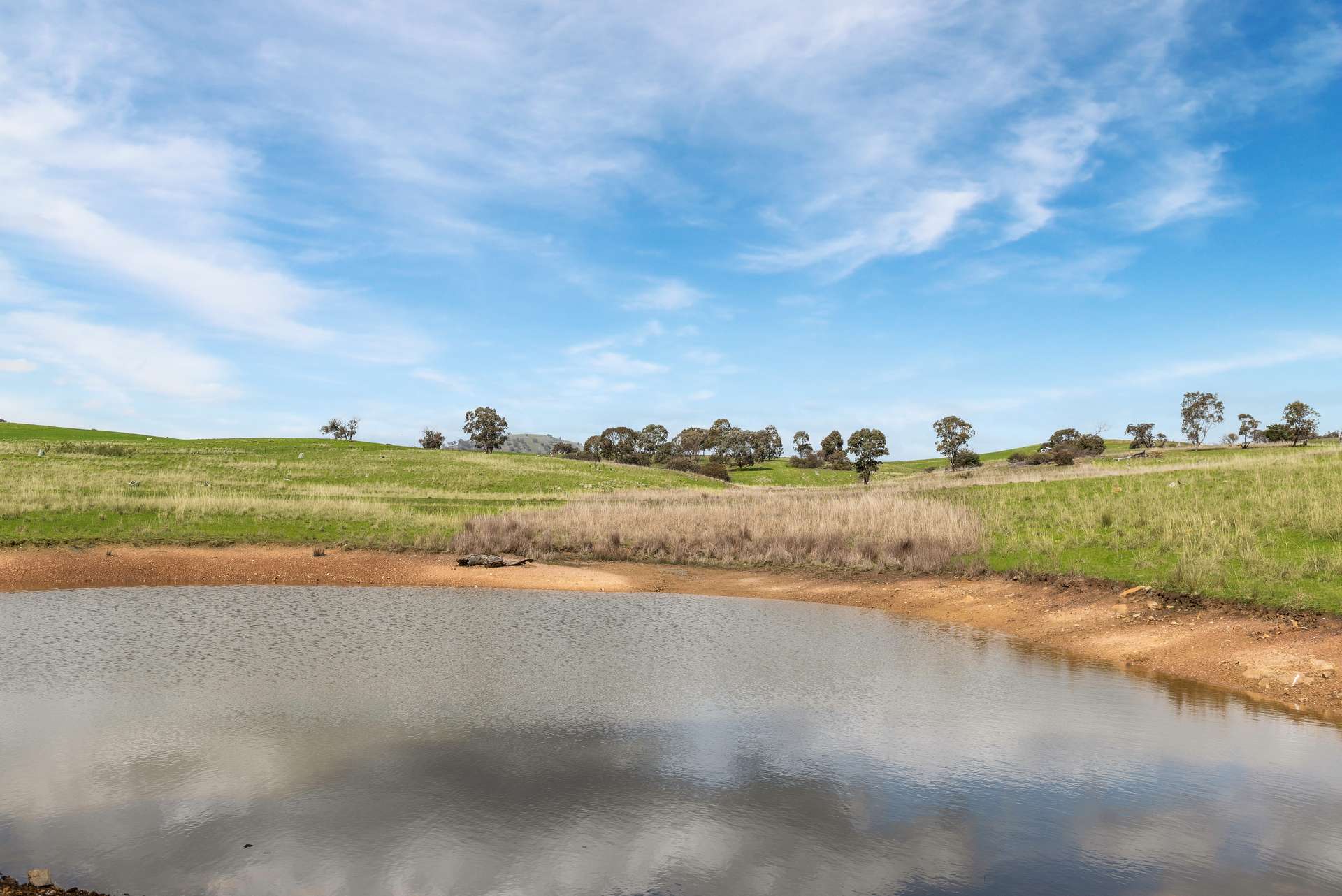 505 Hardings Lane, Tooborac For Sale by Farmbuy.com - image 7