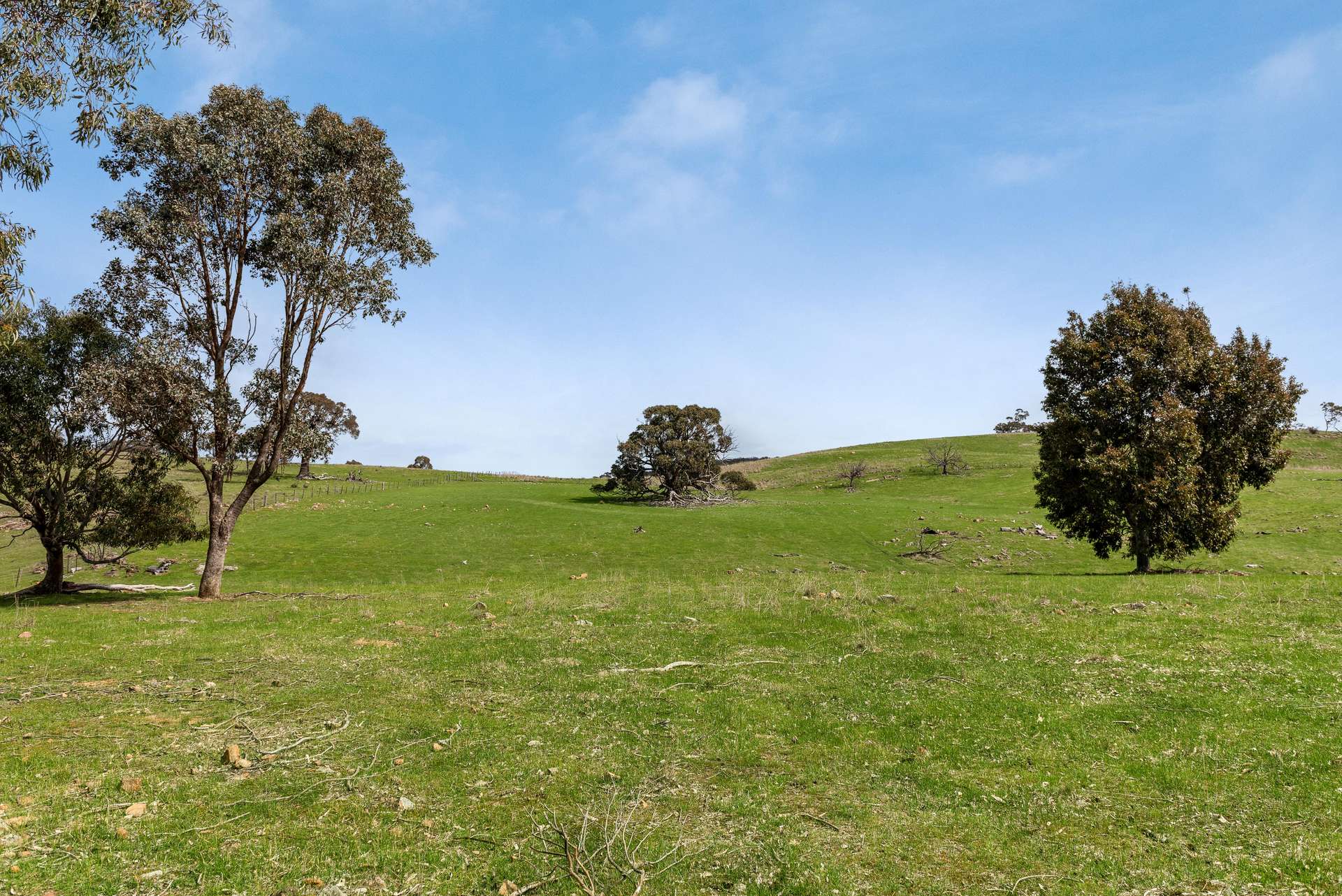 505 Hardings Lane, Tooborac For Sale by Farmbuy.com - image 8