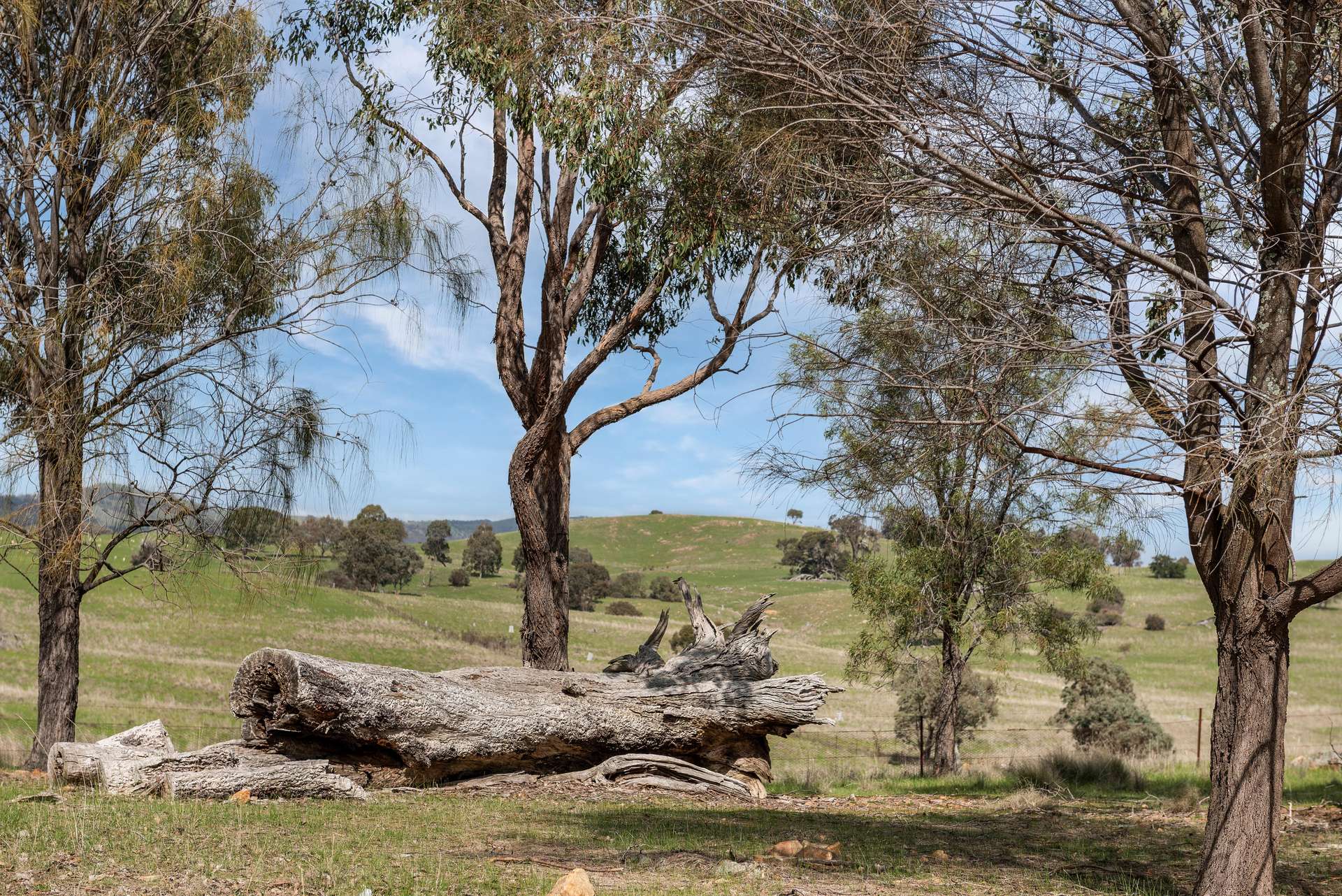 505 Hardings Lane, Tooborac For Sale by Farmbuy.com - image 6