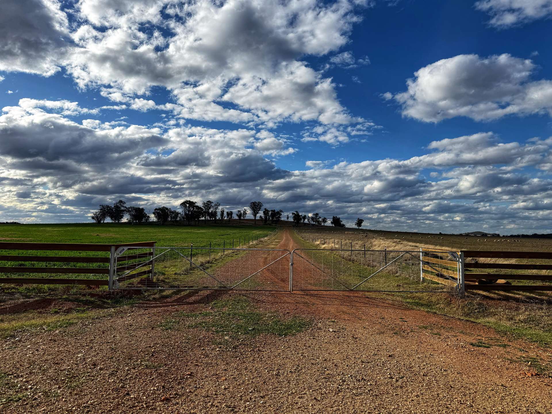 "Tamba" 1087 Burkes Road, Ootha Sold by Farmbuy.com - image 11