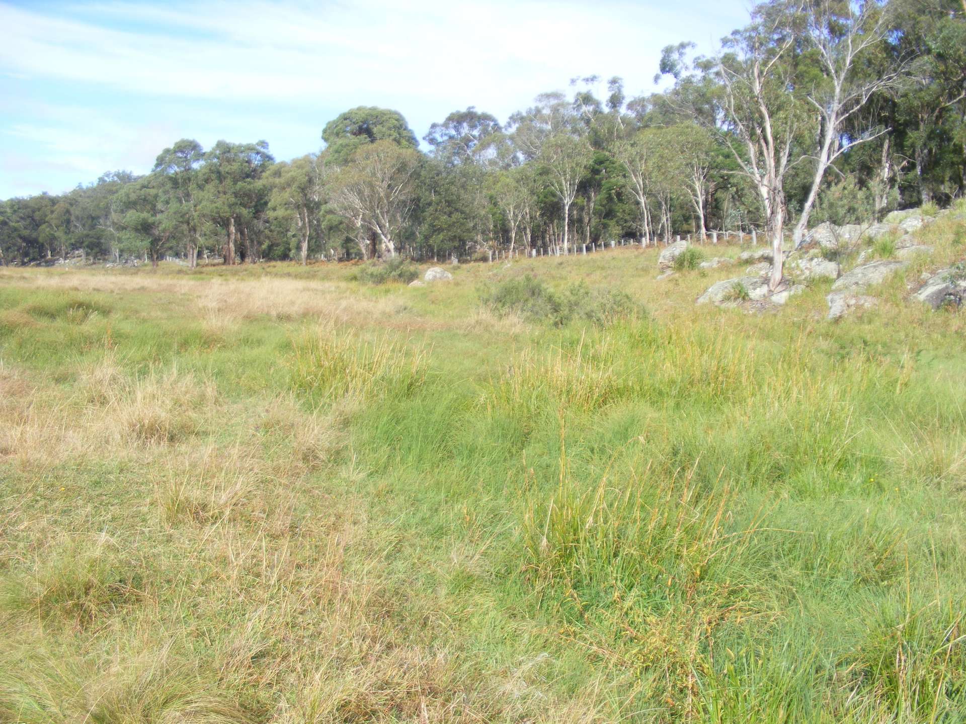 618 Coopers Road, Red Range For Sale by Farmbuy.com - image 13