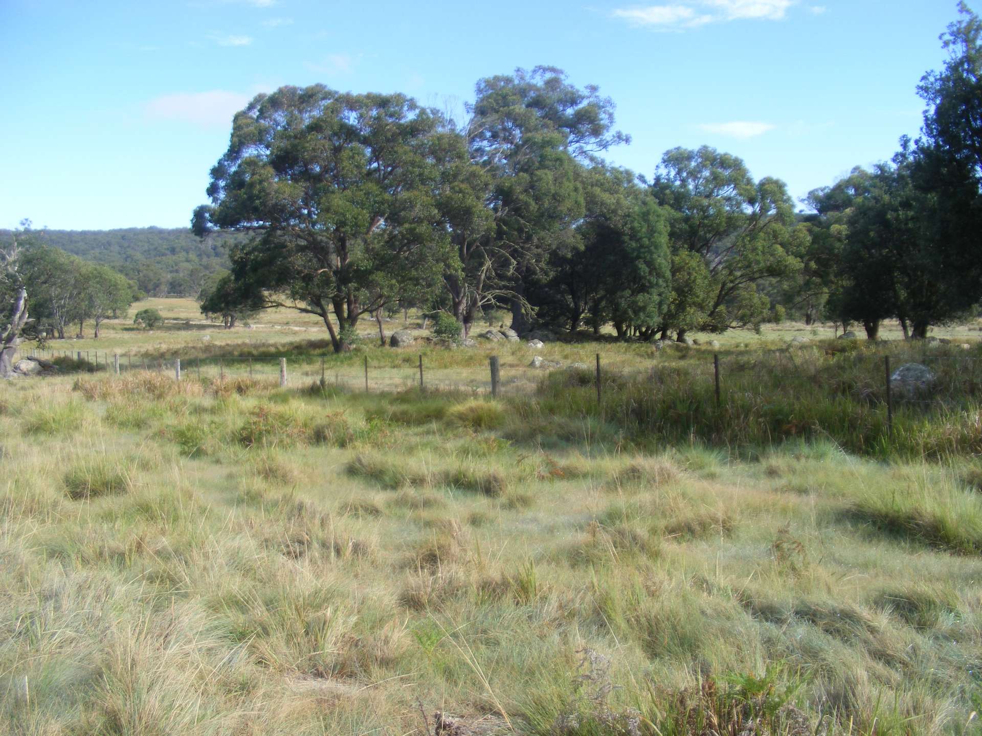 618 Coopers Road, Red Range For Sale by Farmbuy.com - image 14