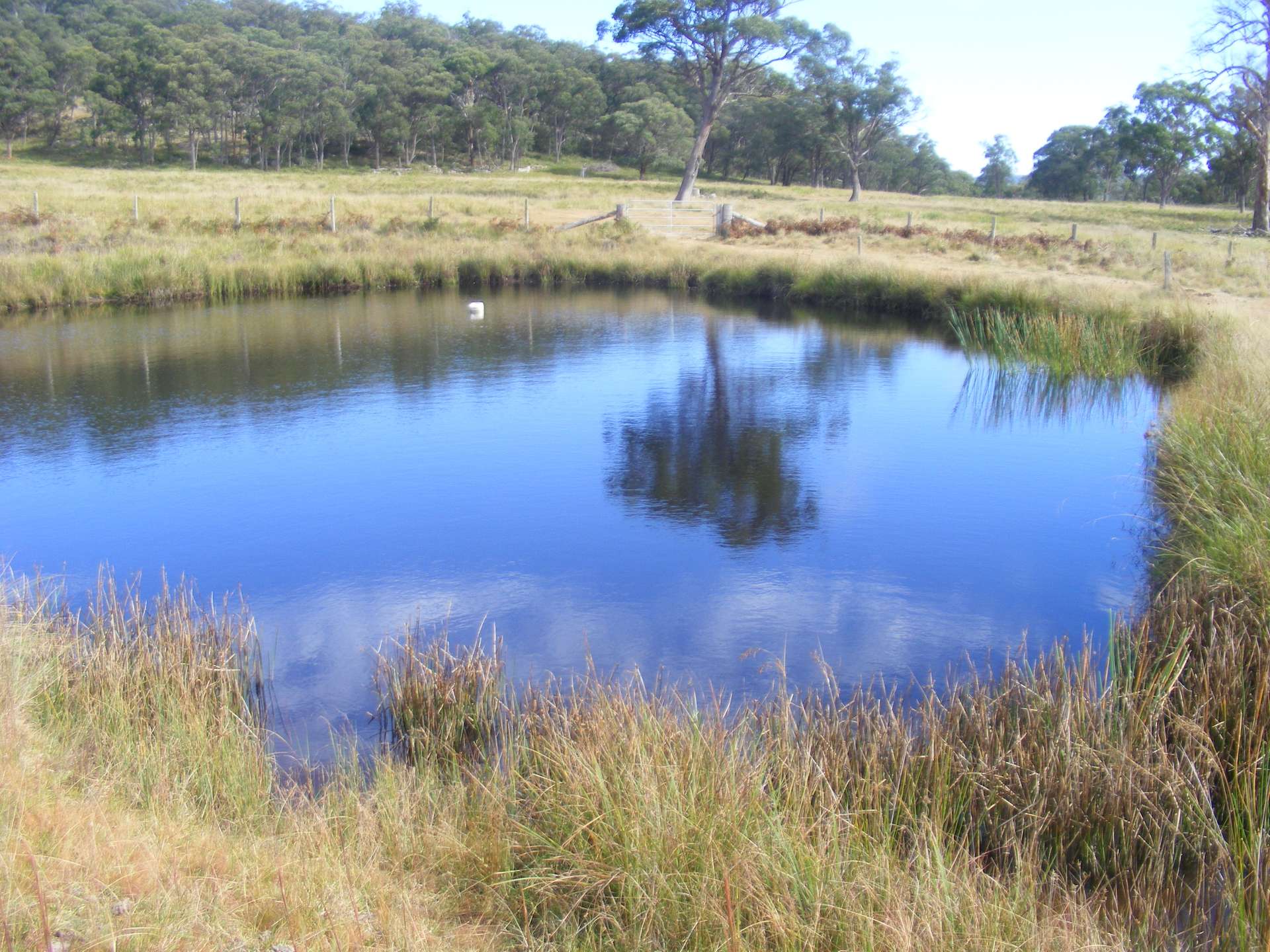 618 Coopers Road, Red Range For Sale by Farmbuy.com - image 10