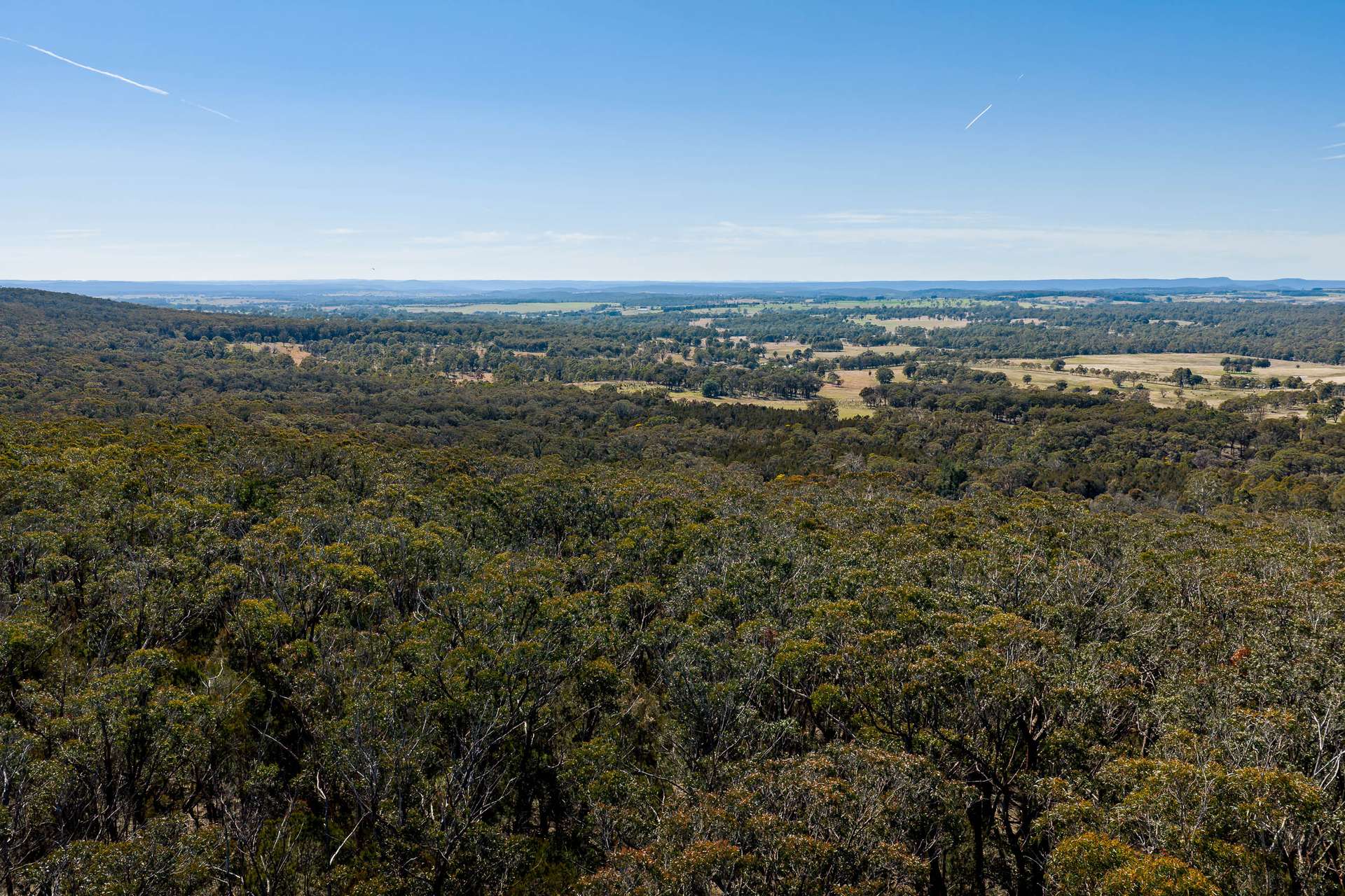 55 Gumnut Crescent, Bungonia Sold by Farmbuy.com - image 3