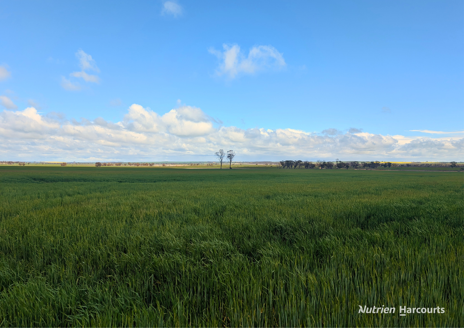 Lot 16017 Tammin Wyalkatchem Road, Wyalkatchem Sold by Farmbuy.com - image 5