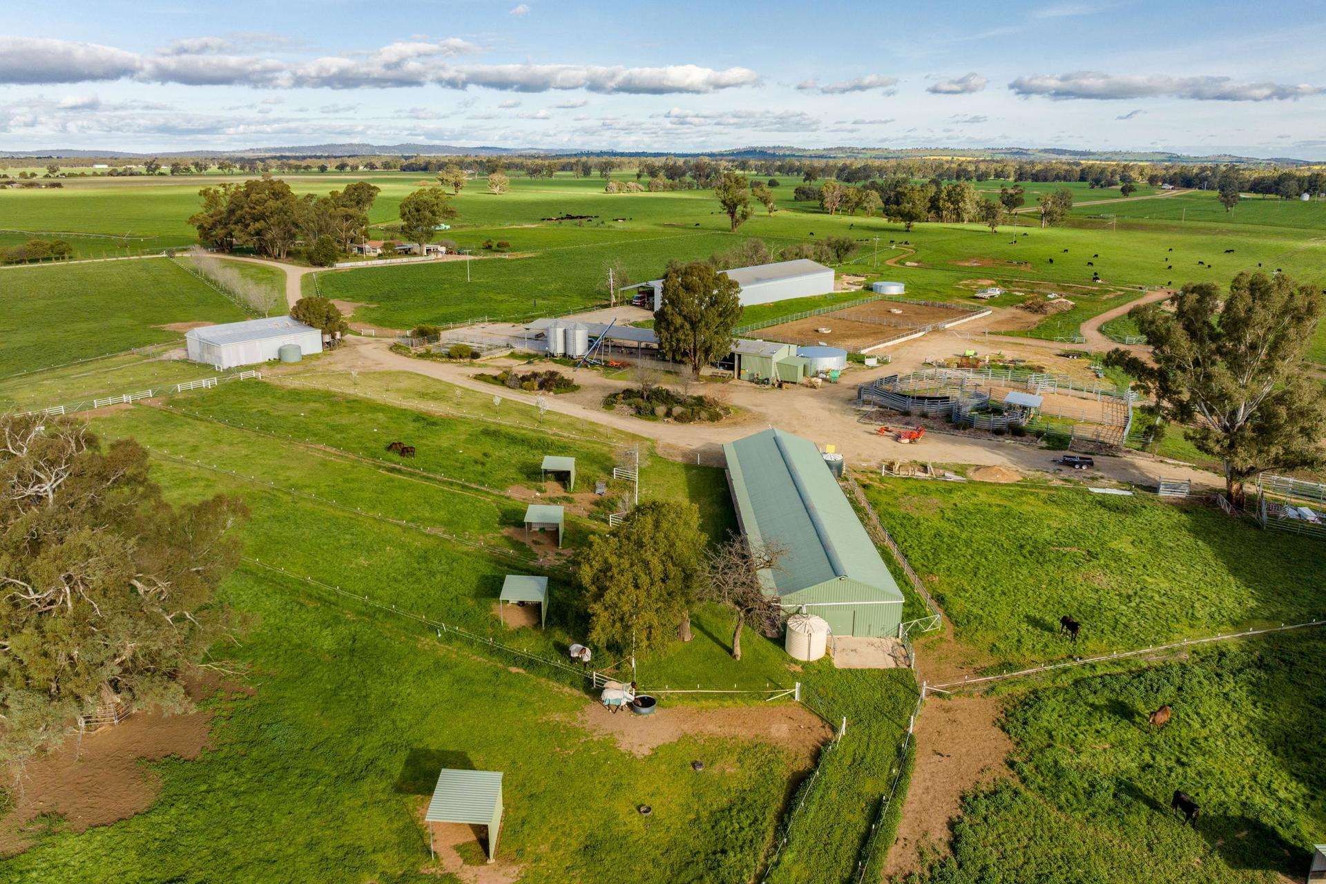1871 Old Narrandera Road, Euberta For Sale by Farmbuy.com - image 20