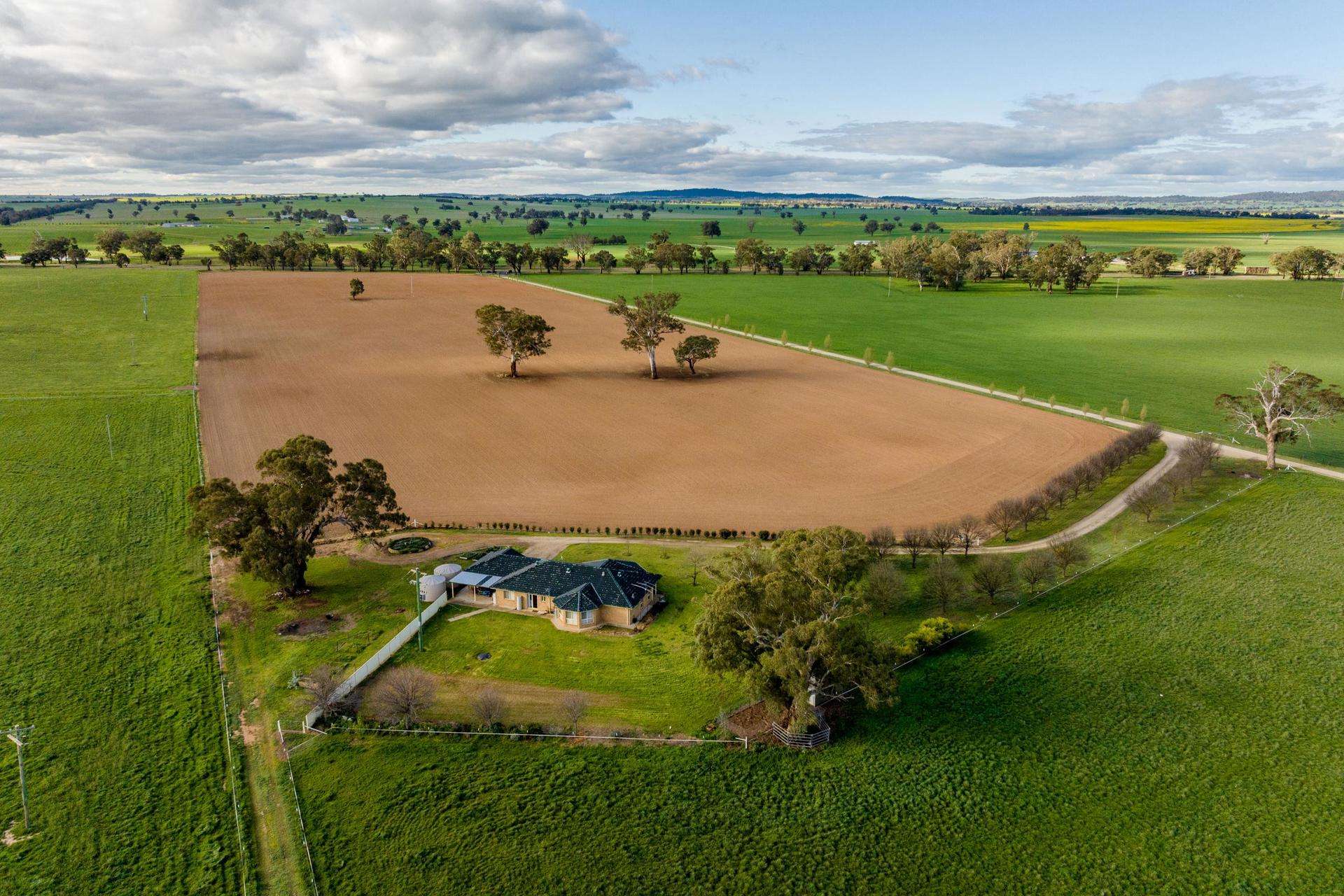 1871 Old Narrandera Road, Euberta For Sale by Farmbuy.com - image 17