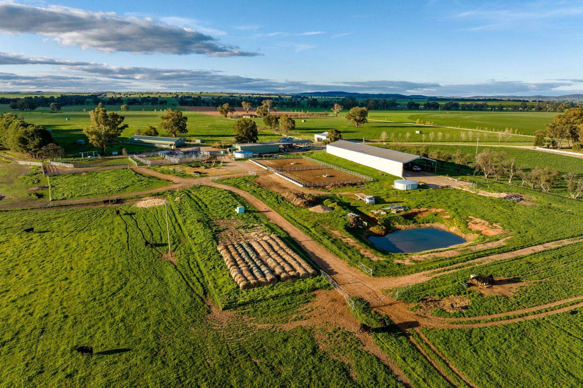 1871 Old Narrandera Road, Euberta For Sale by Farmbuy.com - image 28