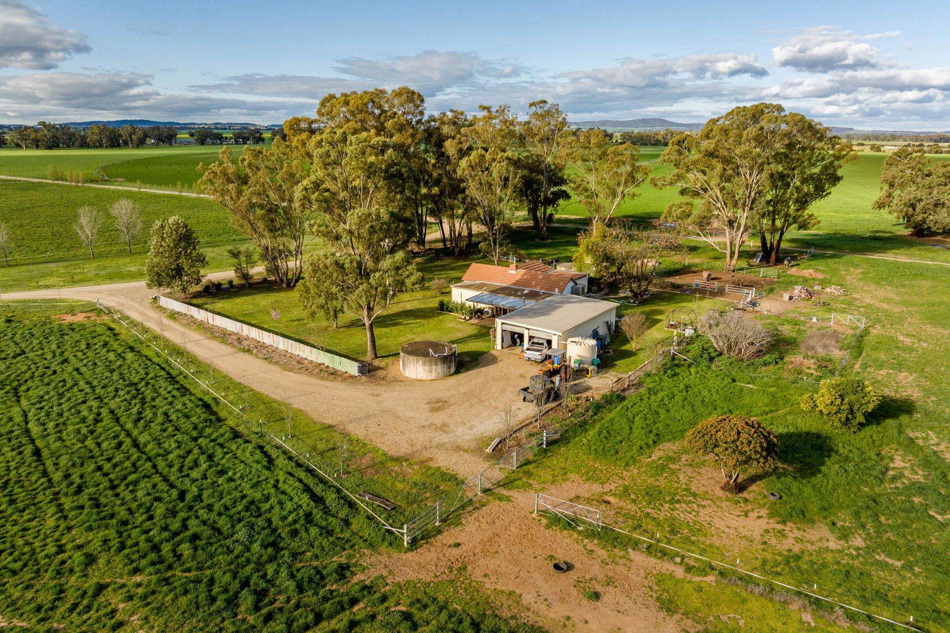 1871 Old Narrandera Road, Euberta For Sale by Farmbuy.com - image 26