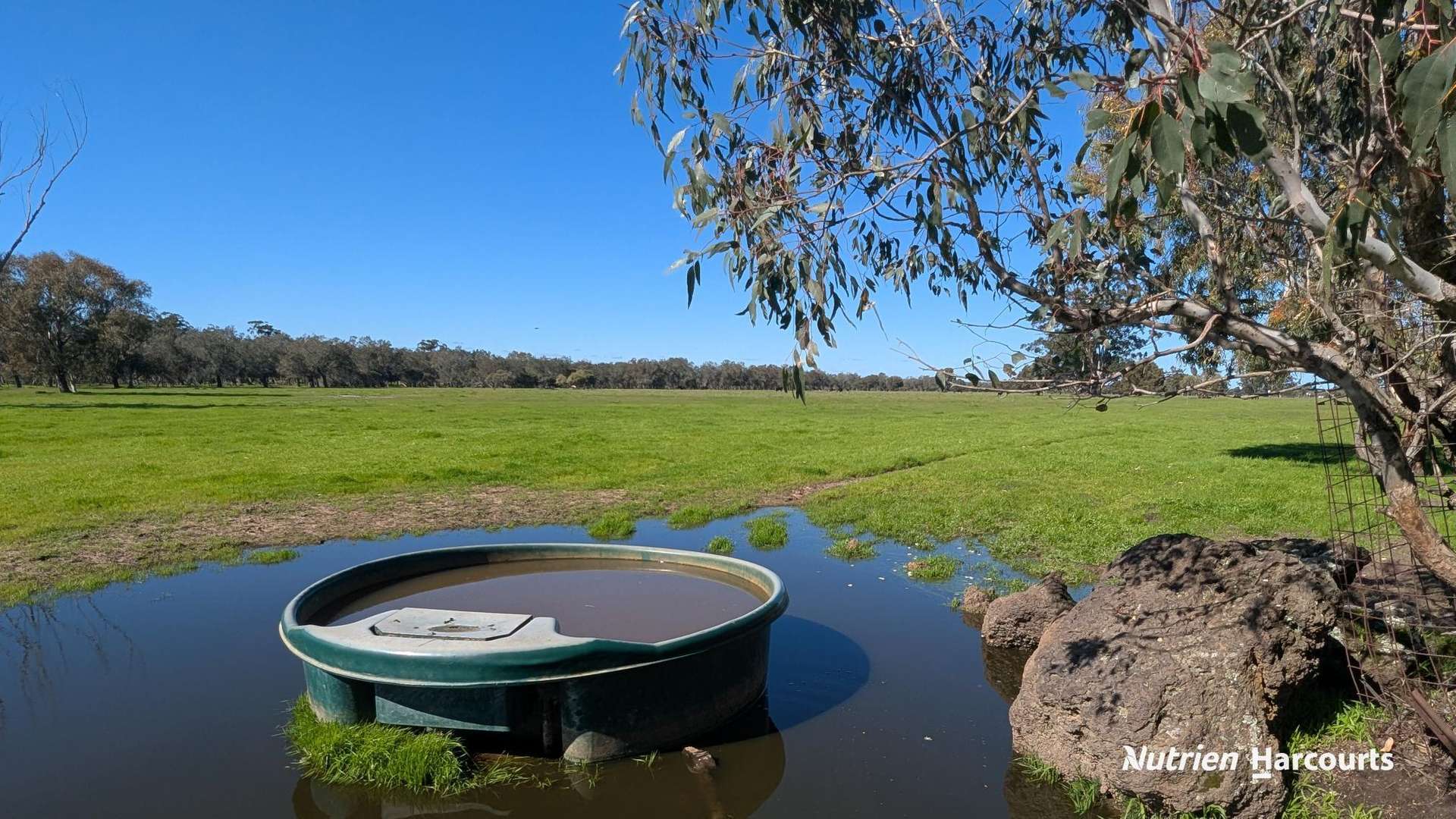 Muchea Sold by Farmbuy.com - image 19