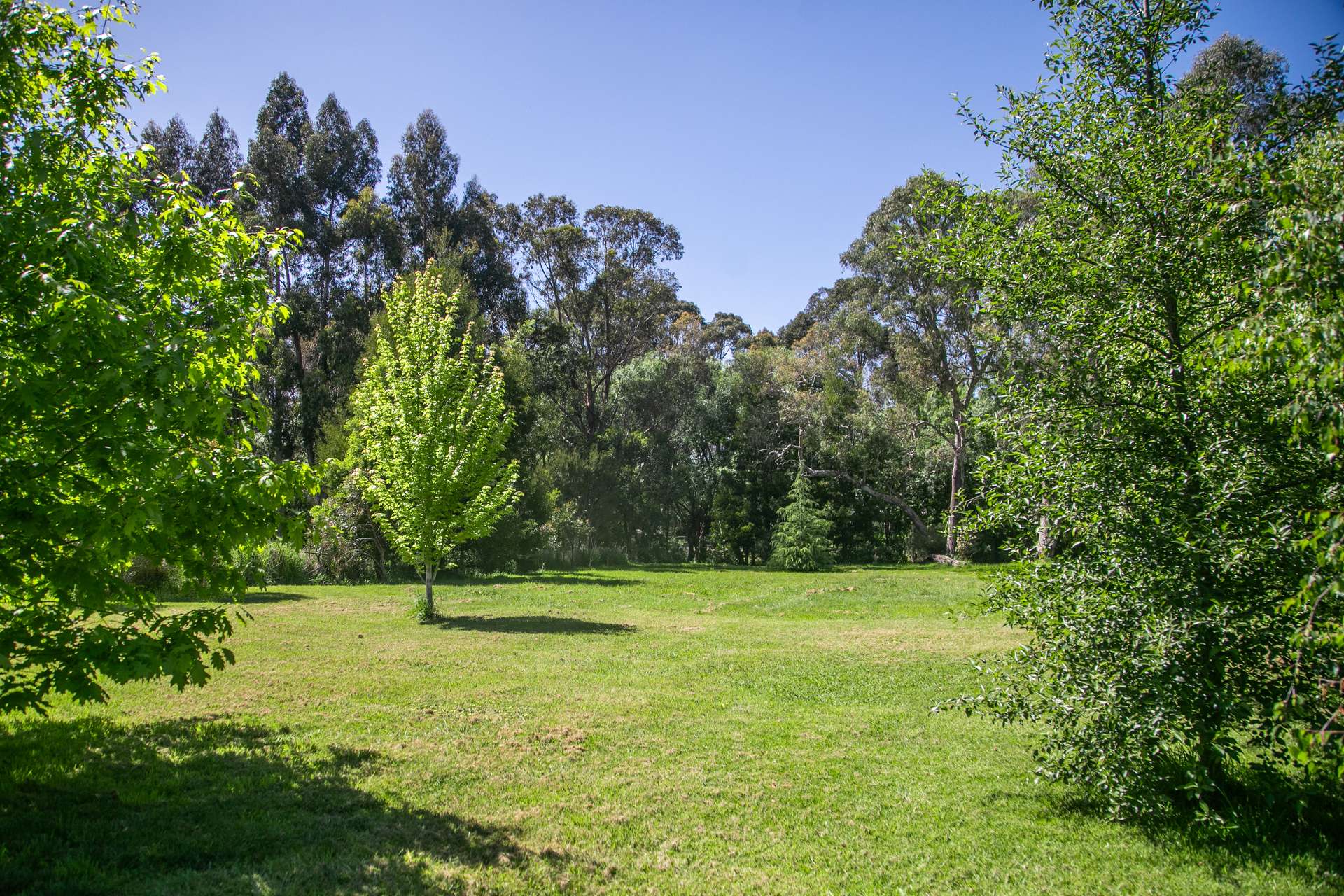2704 Greenhill Road, Balhannah Sold by Farmbuy.com - image 34