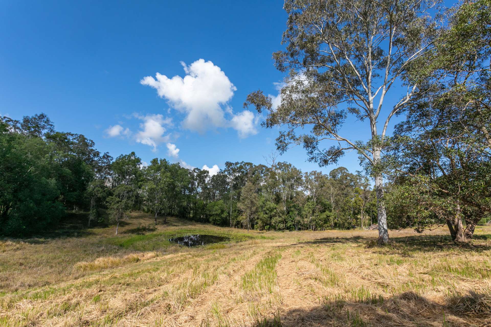 63-73 Oakey Creek Road, Gheerulla Sold by Farmbuy.com - image 3