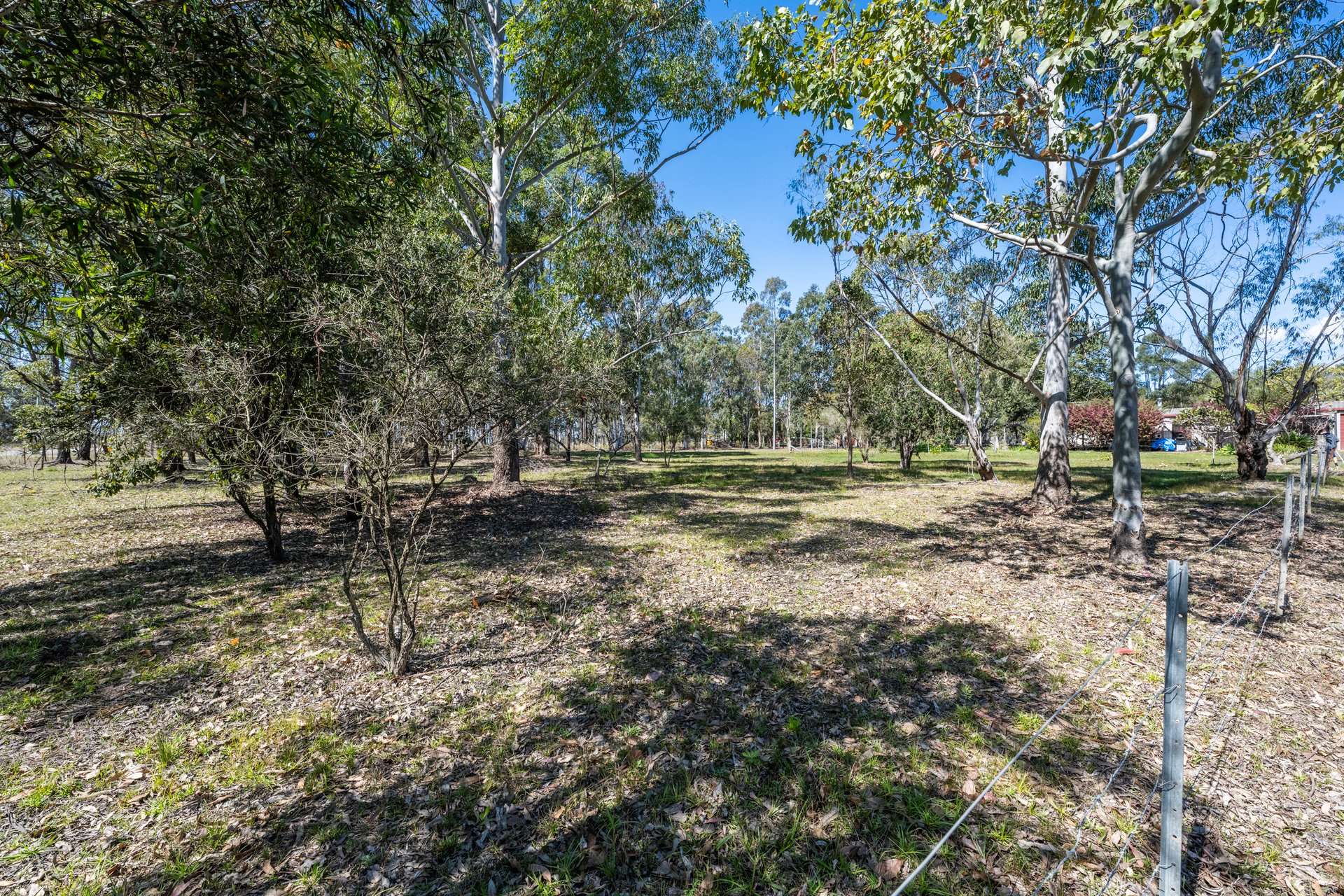 281 Florda Prince Drive, Wells Crossing Sold by Farmbuy.com - image 20