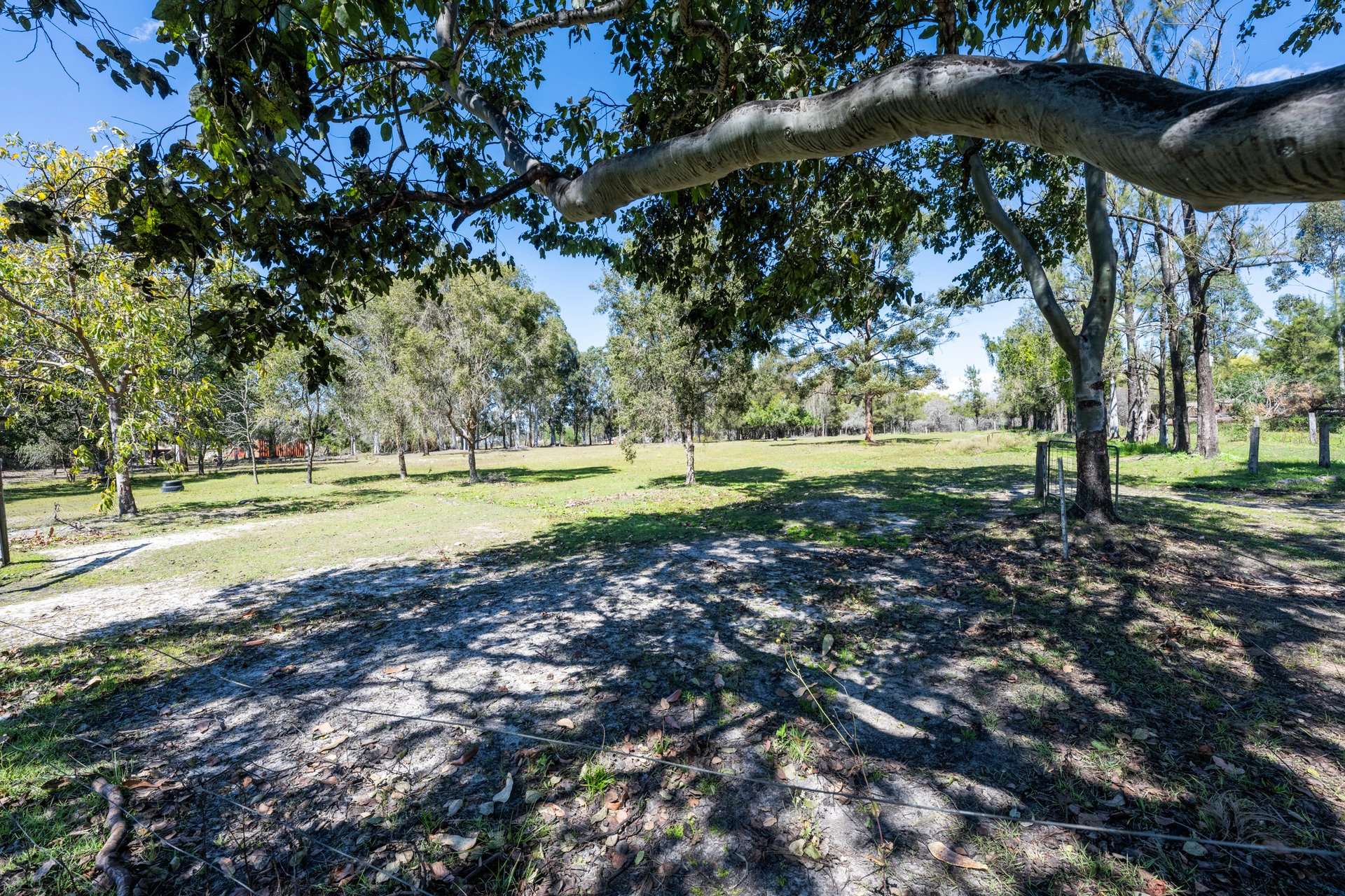 281 Florda Prince Drive, Wells Crossing Sold by Farmbuy.com - image 13