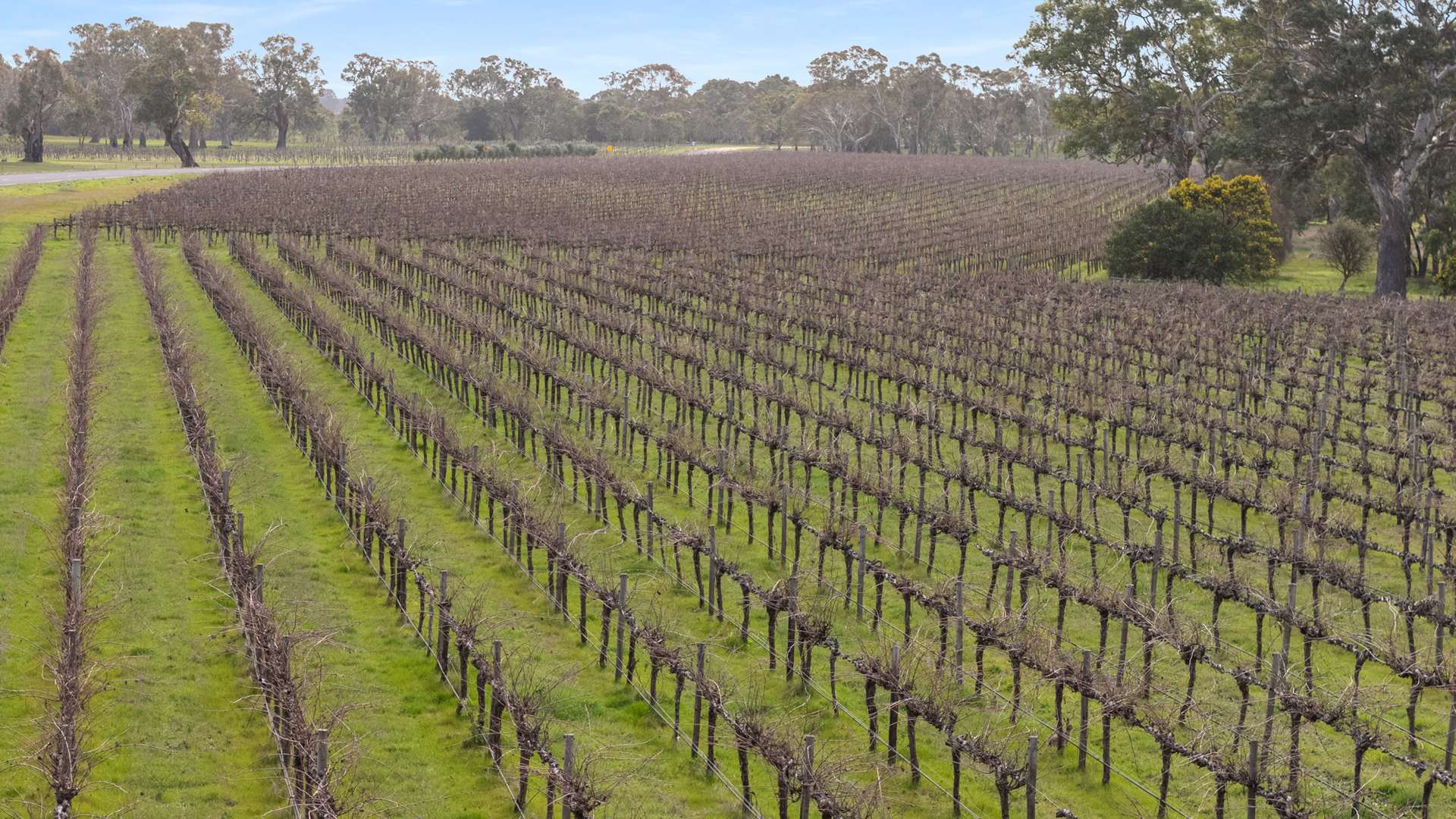 Lot 105, 108 Dergholm Road, Penola Sold by Farmbuy.com - image 13