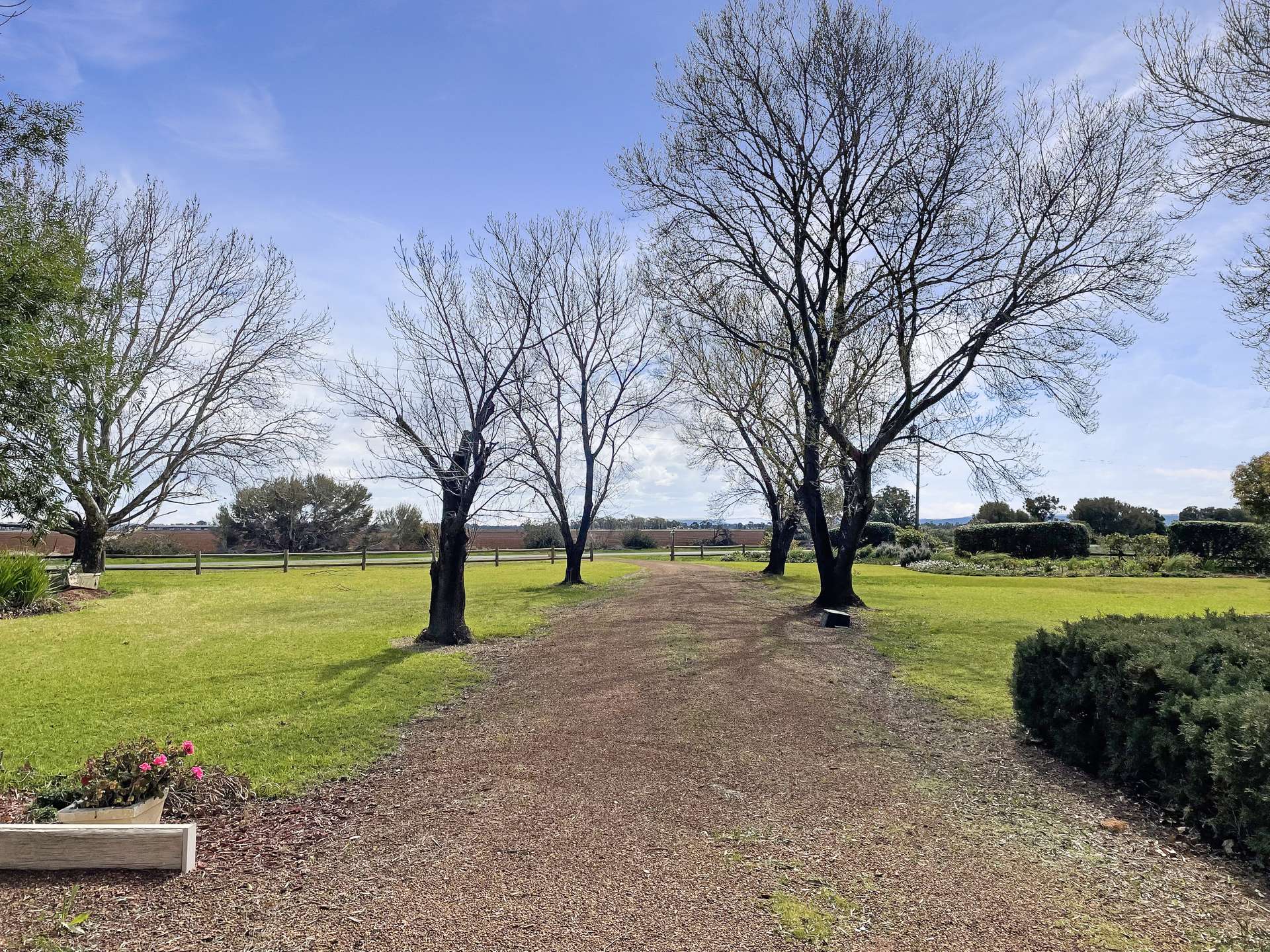 271 Lawrence Road, Bilbul Sold by Farmbuy.com - image 21