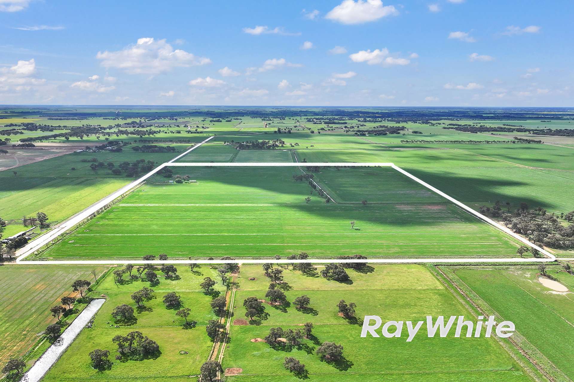 1660 Whinfield Road, Kotta Sold by Farmbuy.com - image 3