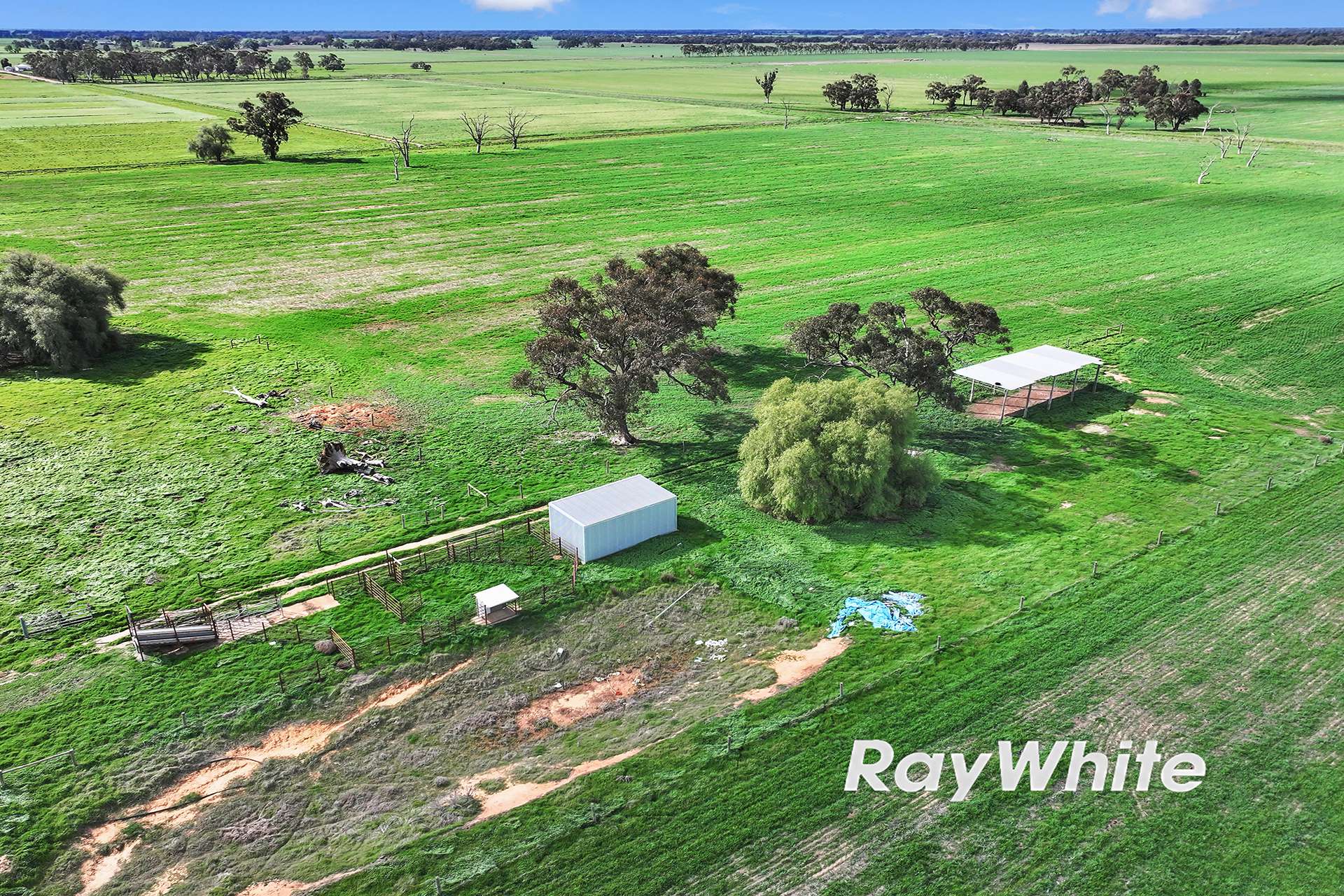 1660 Whinfield Road, Kotta Sold by Farmbuy.com - image 6