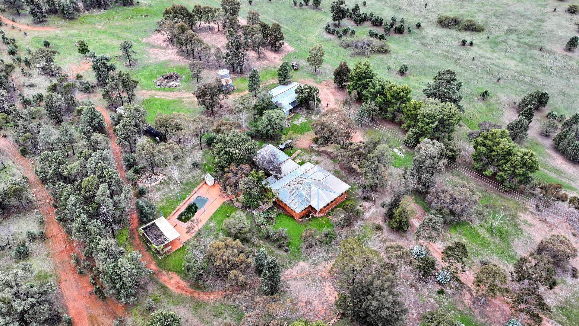 1911 Cannards Lane, Binya Sold by Farmbuy.com - image 4