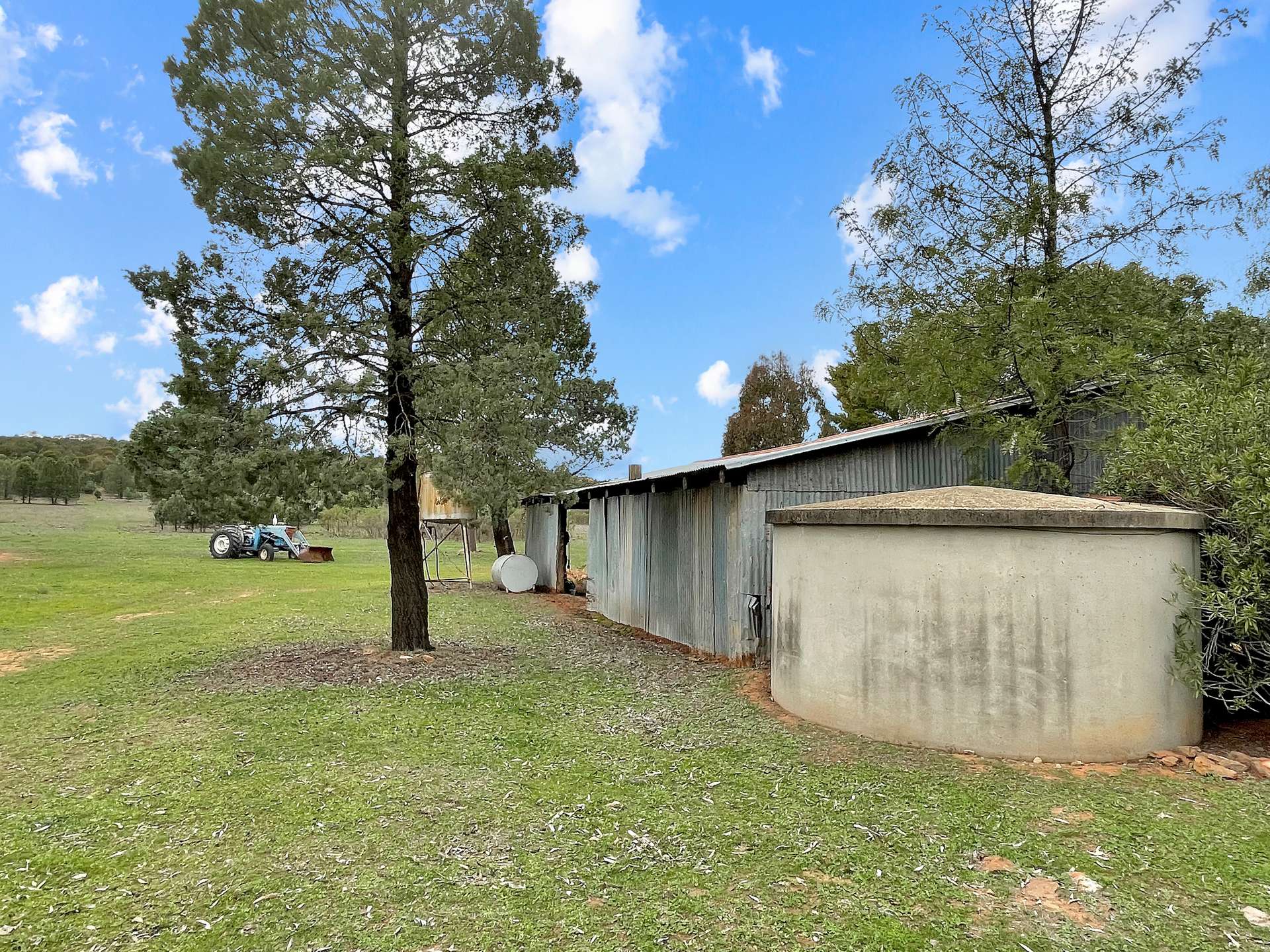 1911 Cannards Lane, Binya Sold by Farmbuy.com - image 20