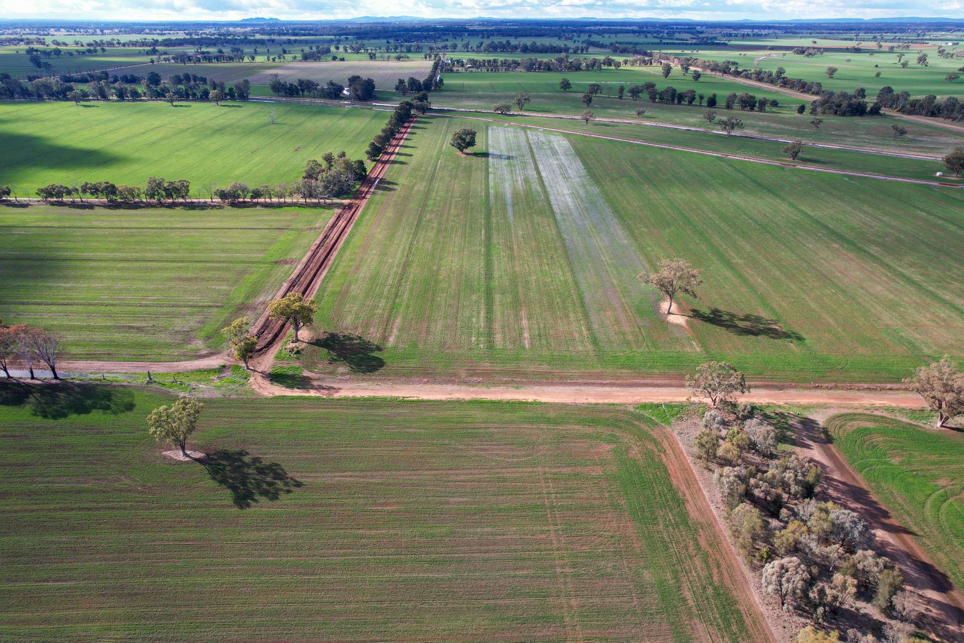 226 Willawang Road, Warroo Sold by Farmbuy.com - image 4