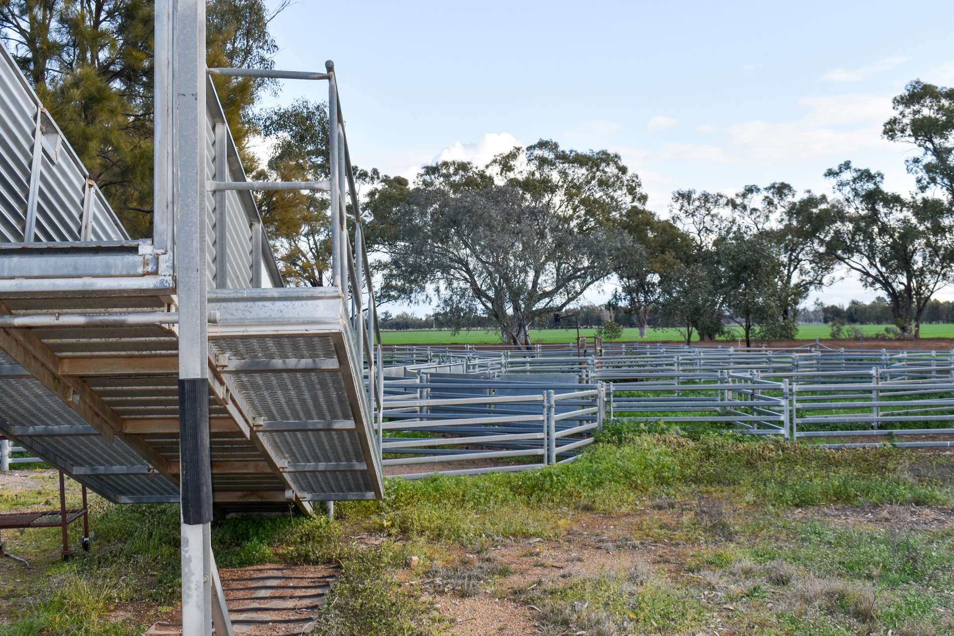 226 Willawang Road, Warroo Sold by Farmbuy.com - image 15