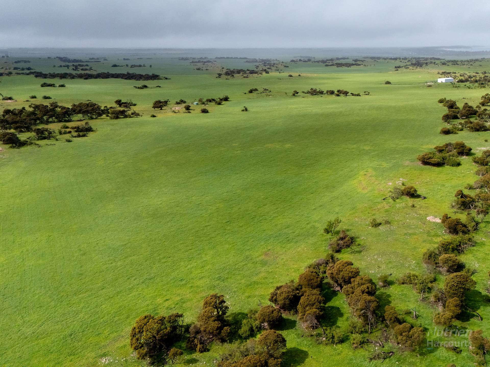 Lot 3 Green Hill Road, Port Moorowie Sold by Farmbuy.com - image 1